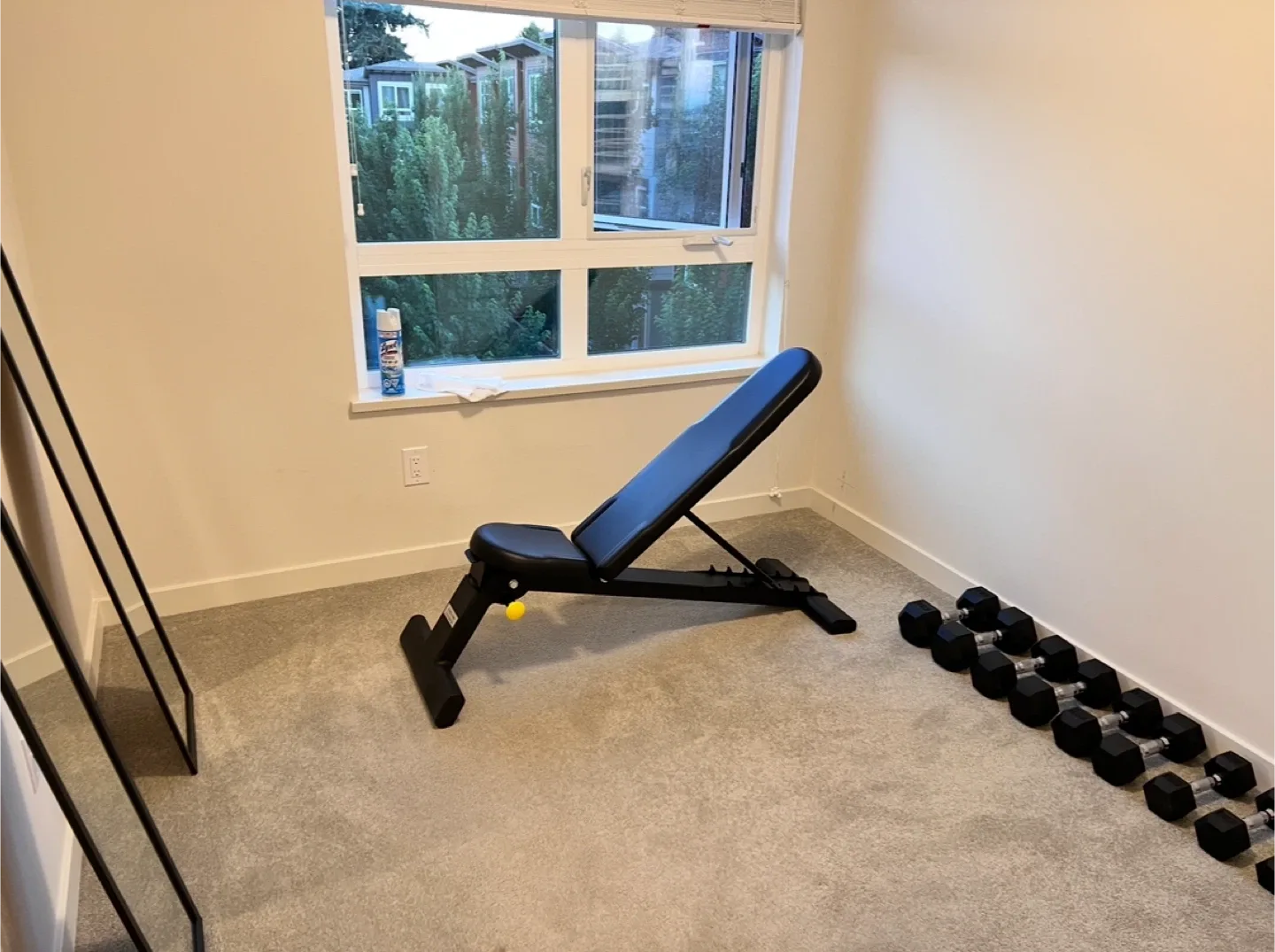 Home Gym Equipment image indicator(2)