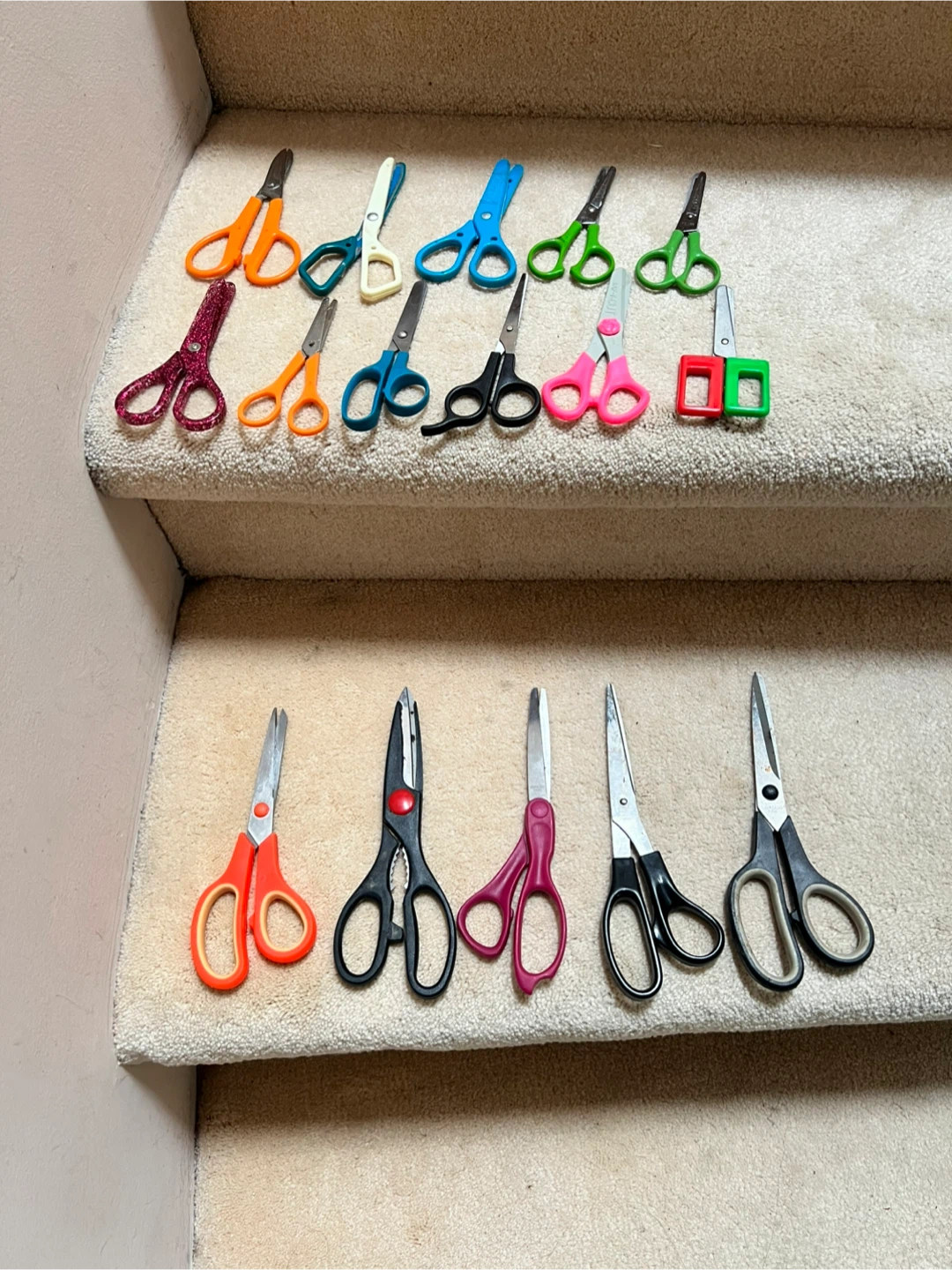 Lots of scissors