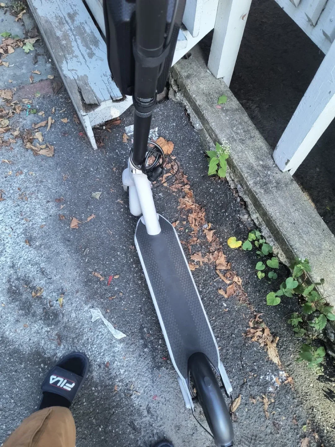 Ninebot g30 Ip image indicator(3)