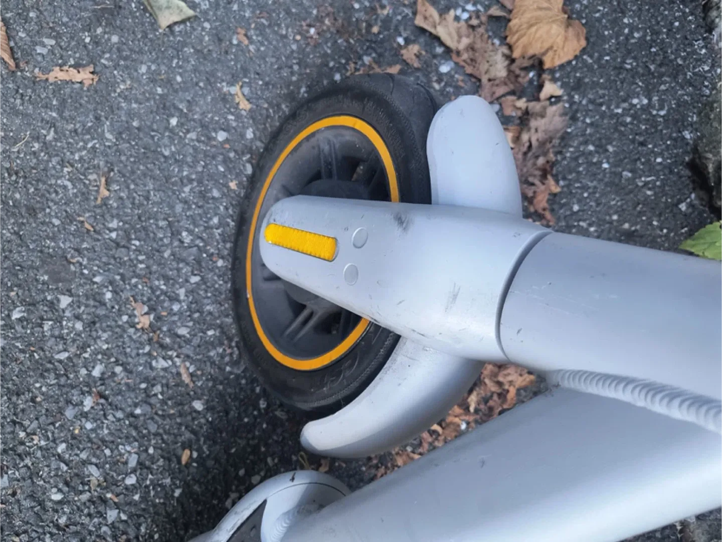 Ninebot g30 Ip image indicator(6)