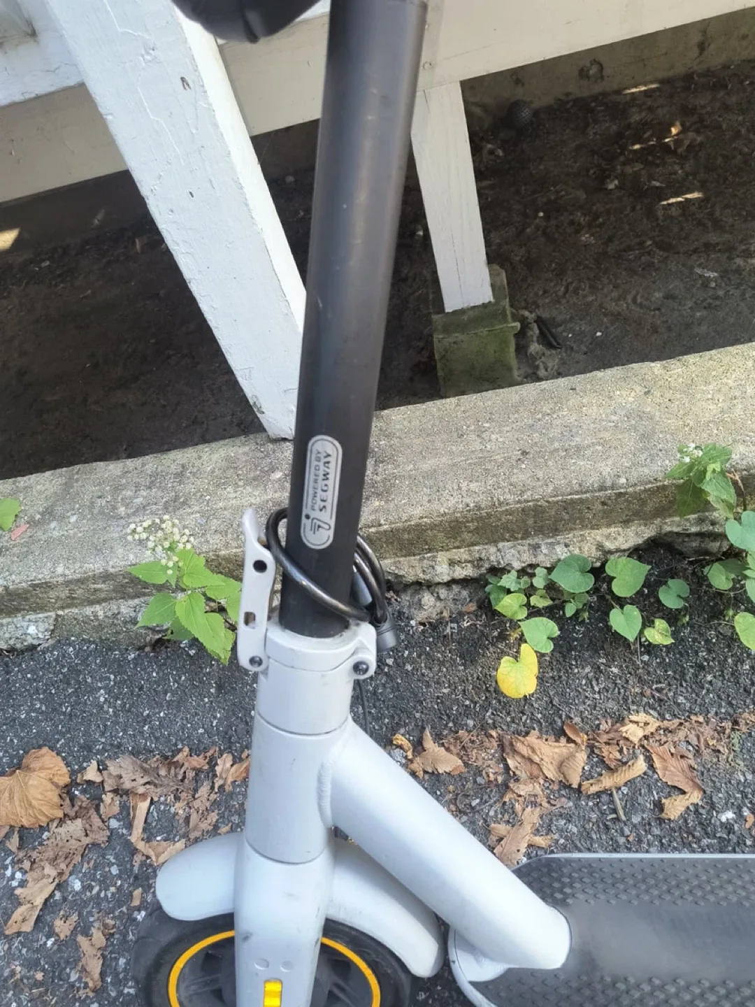 Ninebot g30 Ip image indicator(7)