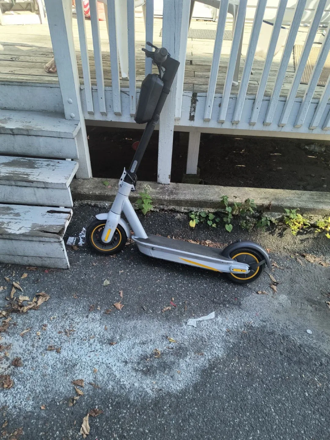 Ninebot g30 Ip image indicator(8)