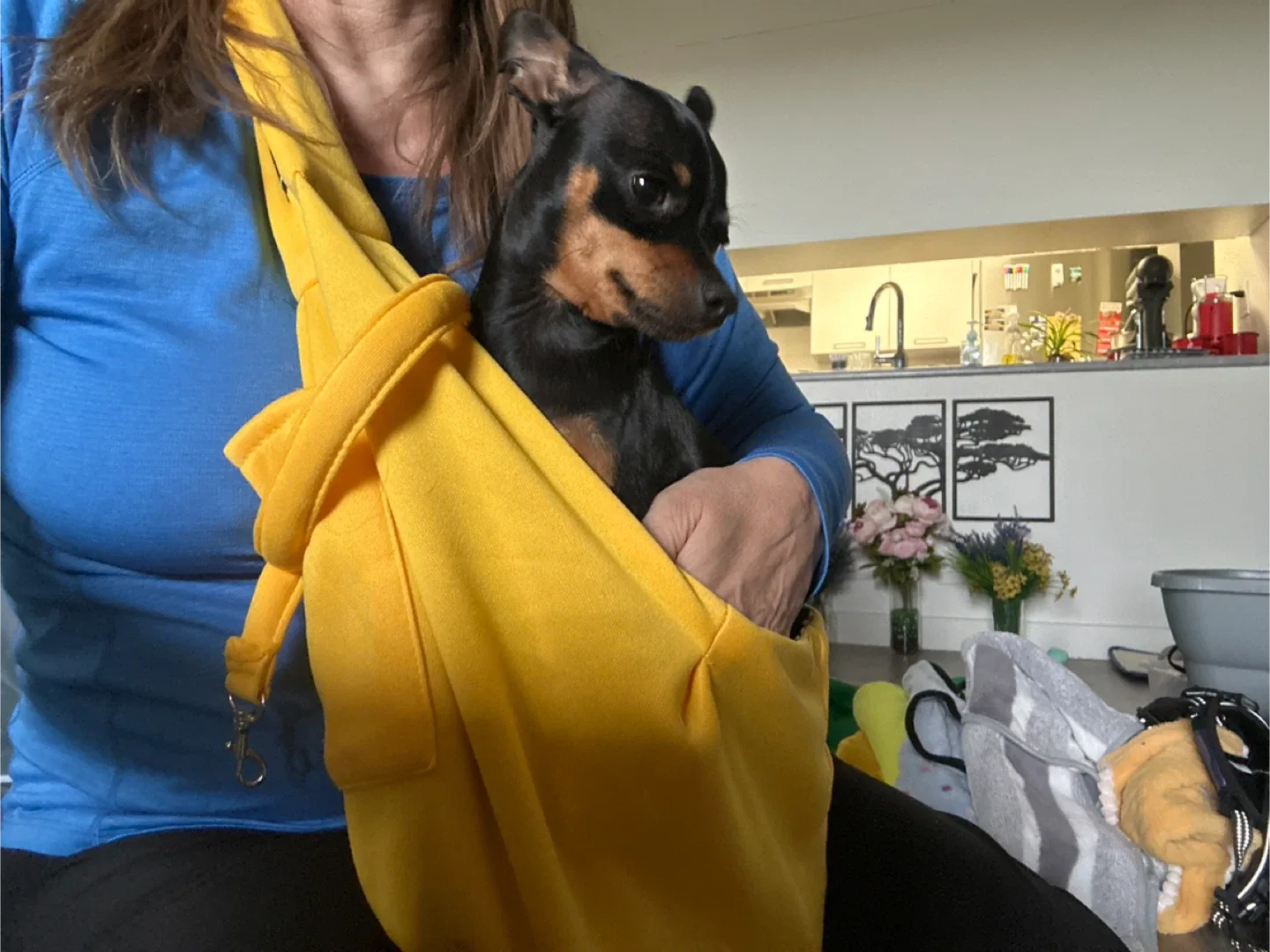 Bin of dog related stuff. 🧡 image indicator(2)