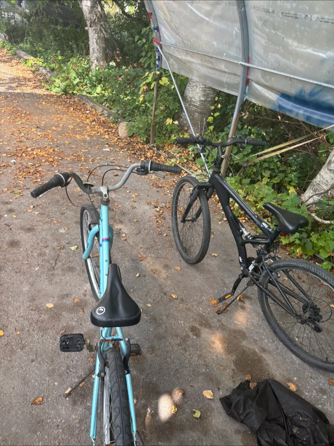 Two Used Bikes - Black Mountain Bike & Blue Everyday Traveller image indicator(4)