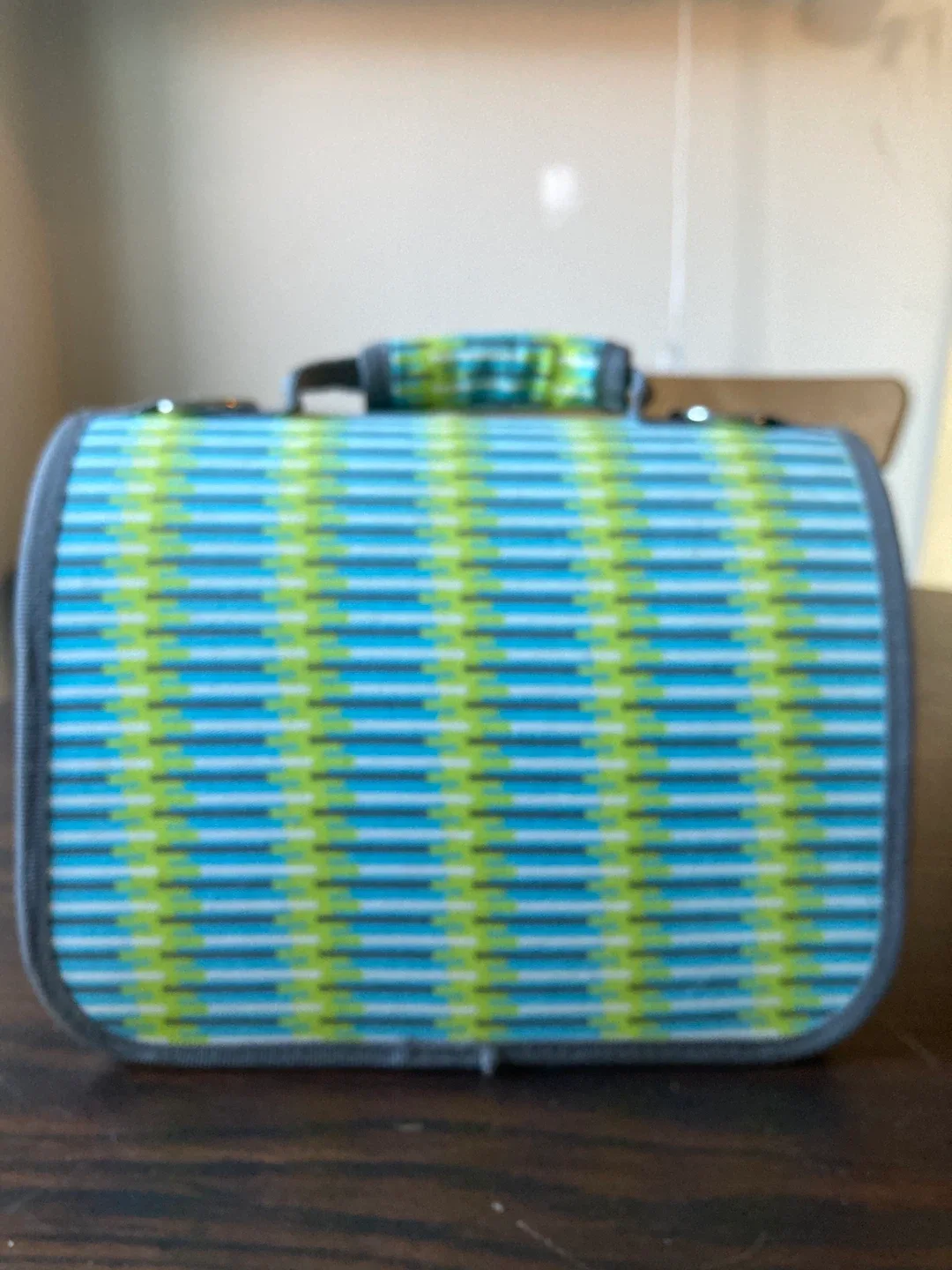 Pet Carrier - Blue & Green image indicator(2)