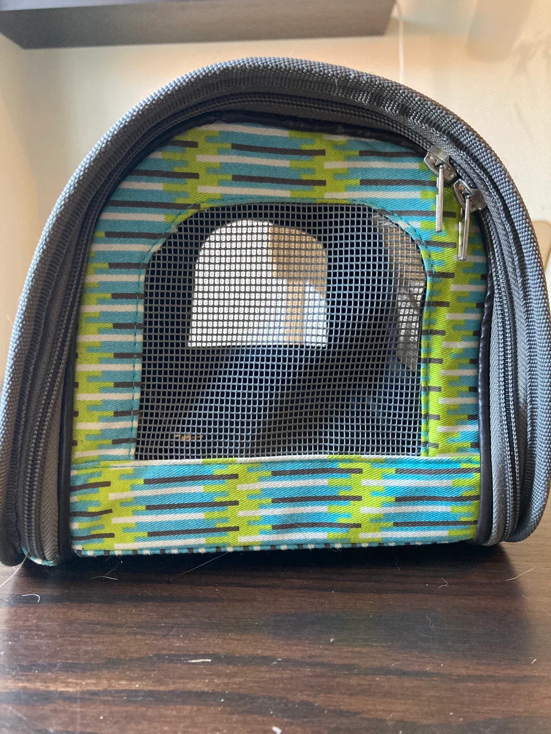 Pet Carrier - Blue & Green image indicator(4)