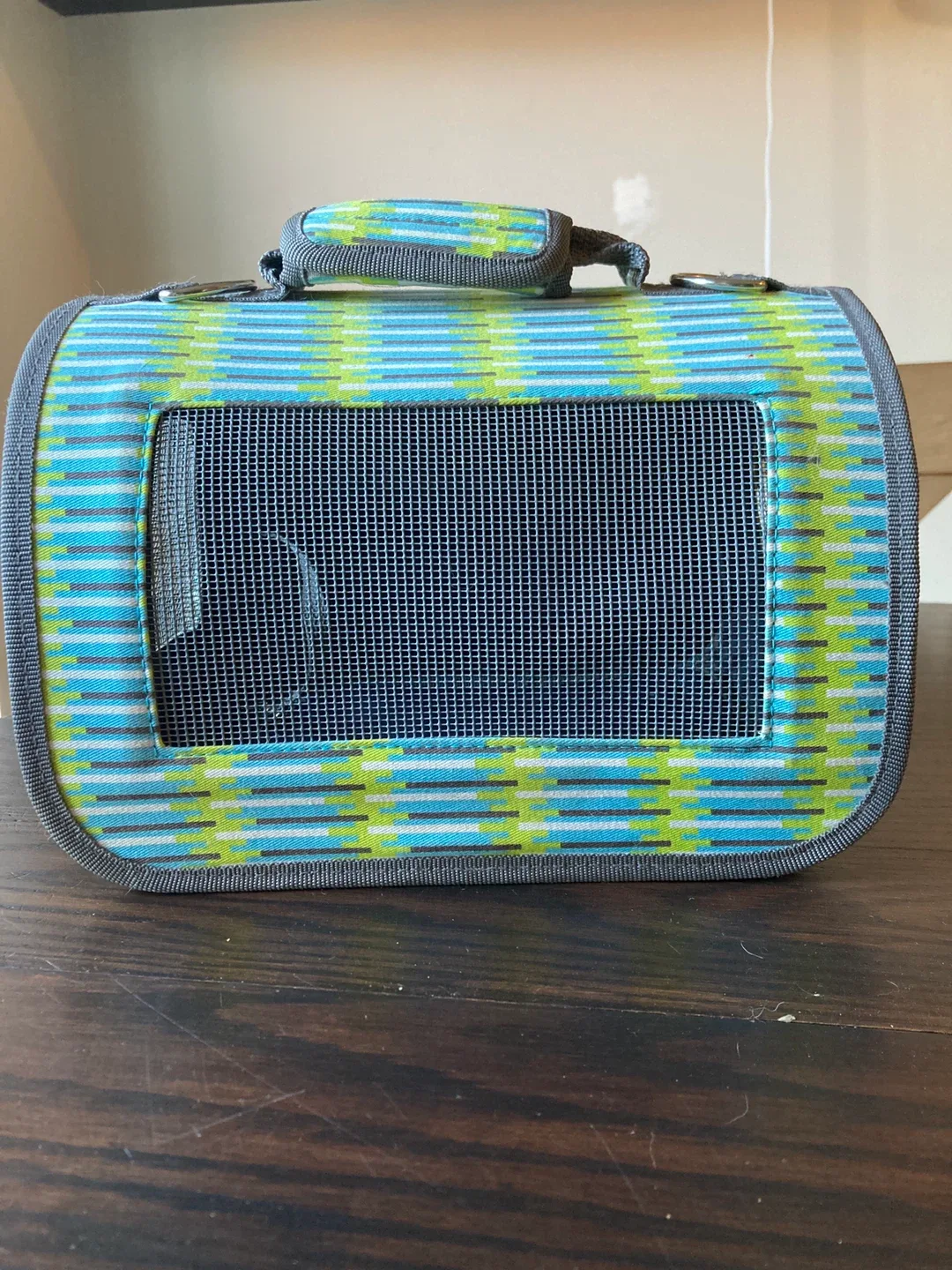 Pet Carrier - Blue & Green image indicator(3)