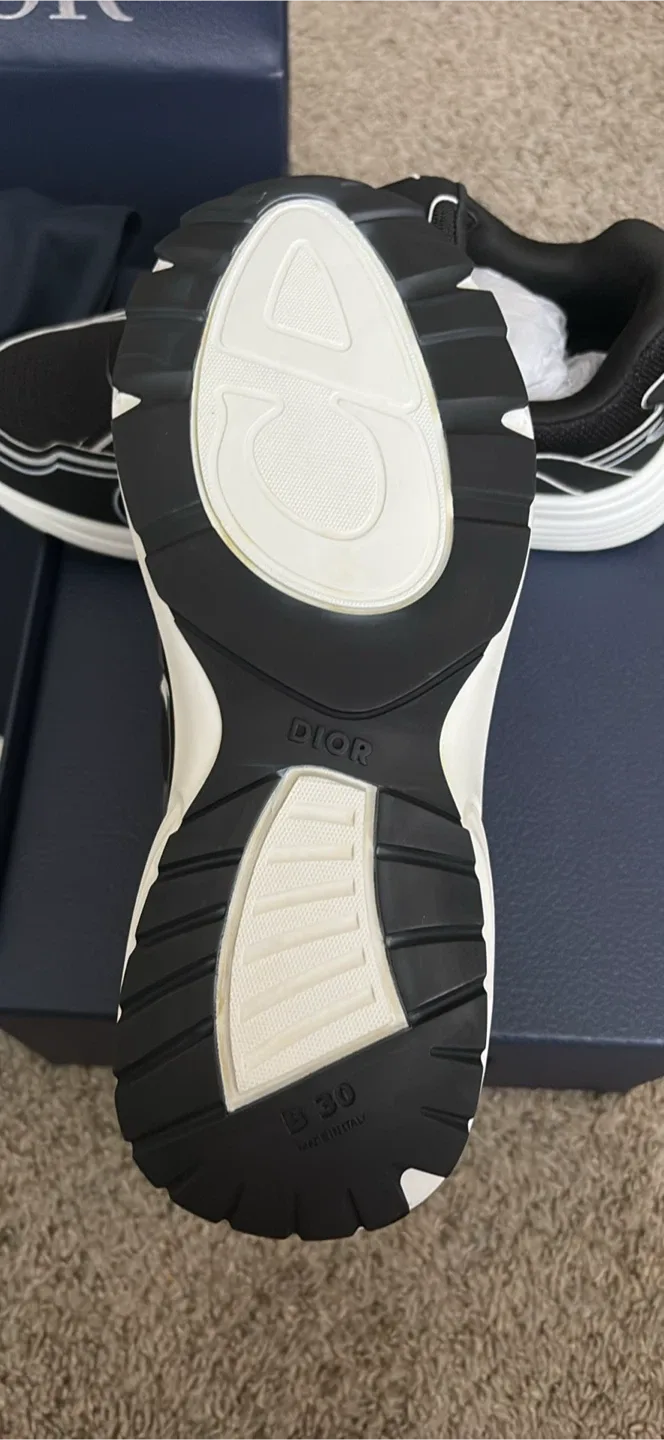 Dior b30 image indicator(7)