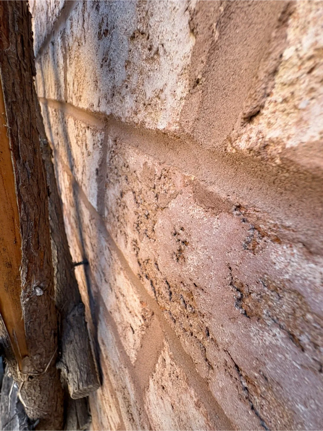 Rustic Cedar Trellis image indicator(5)