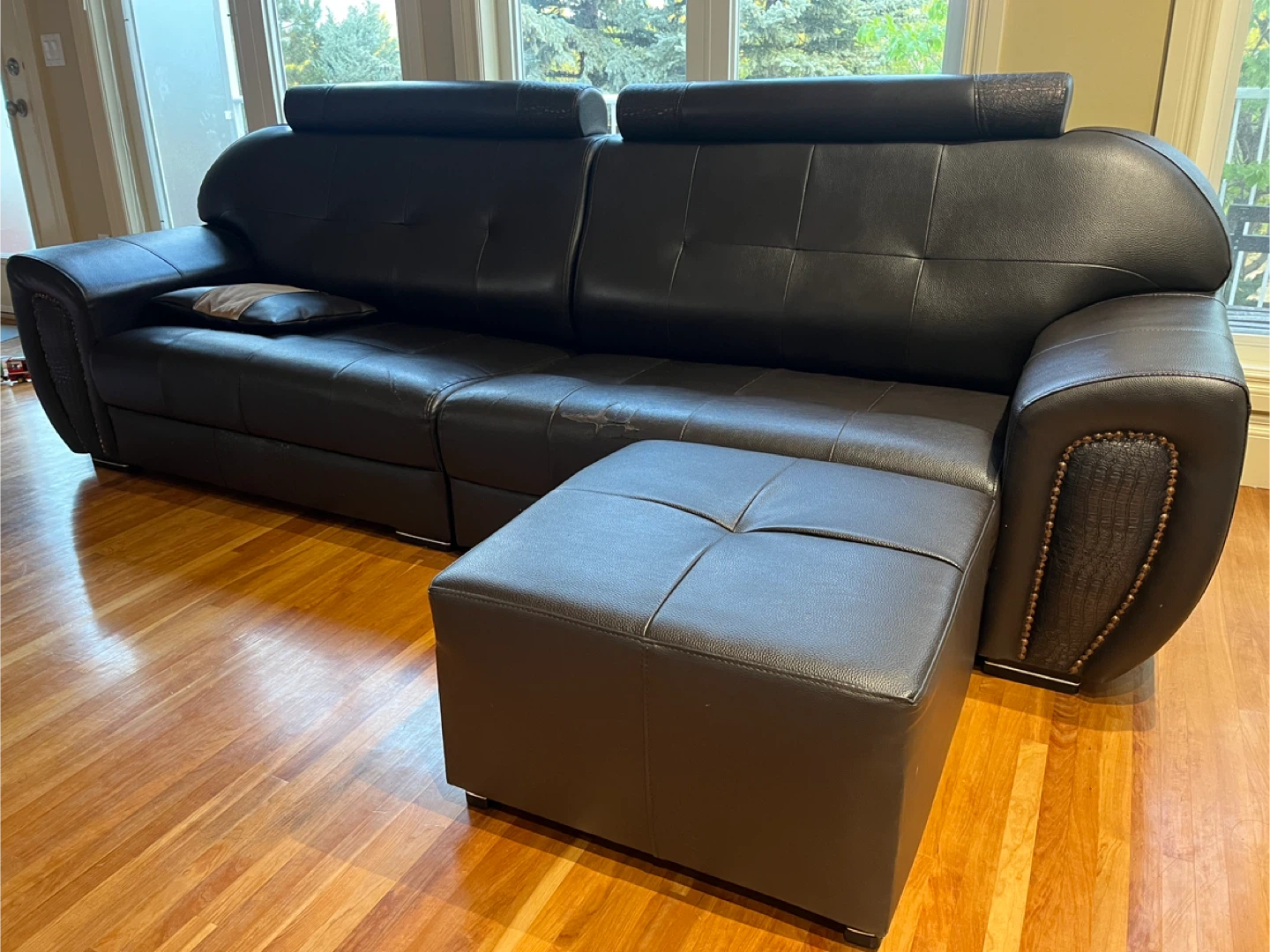[FREE] Black Leather Sofa with stone and cushion