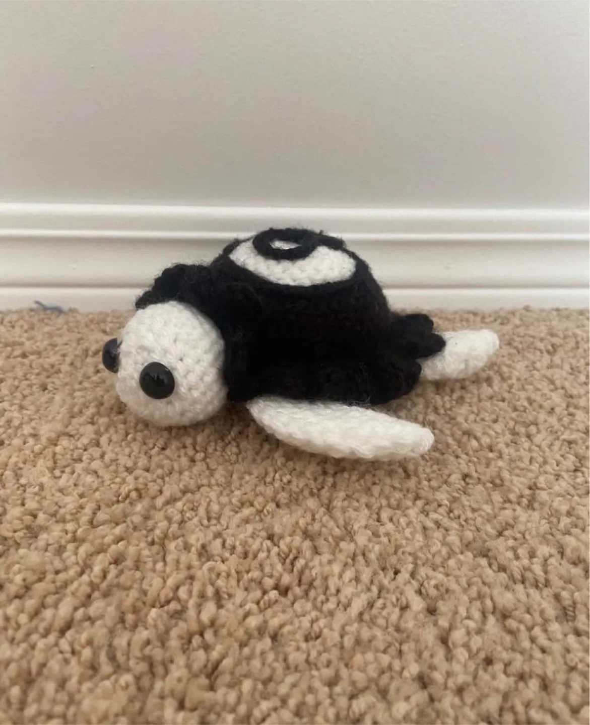 8 ball turtle image indicator(3)