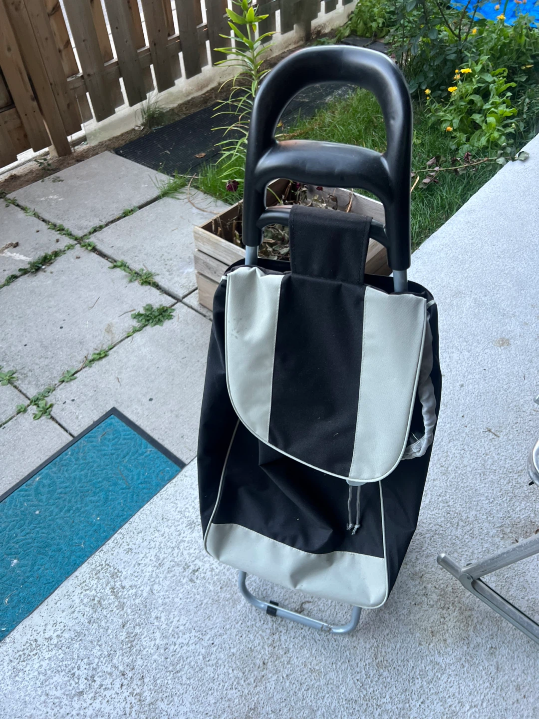 Shopping Trolley Bag Cart