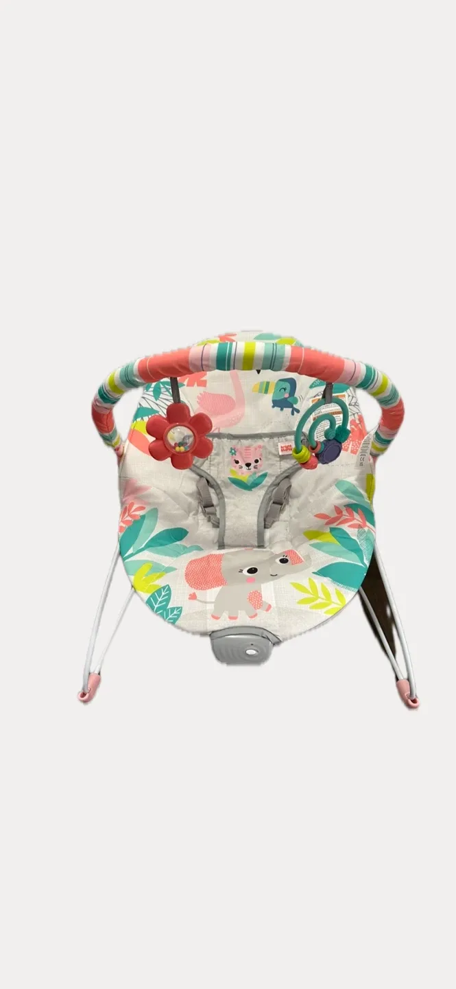 Bright Starts Baby Bouncer thumbnail