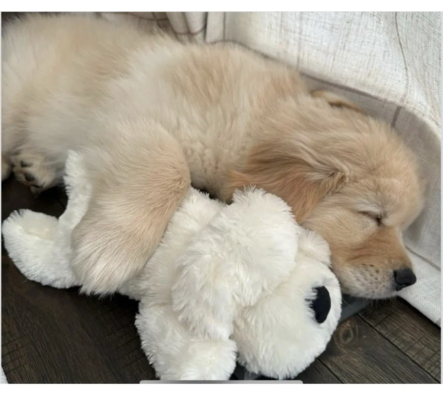 Snuggle Puppy Junior Anxiety Solution for Small Dogs image indicator(7)