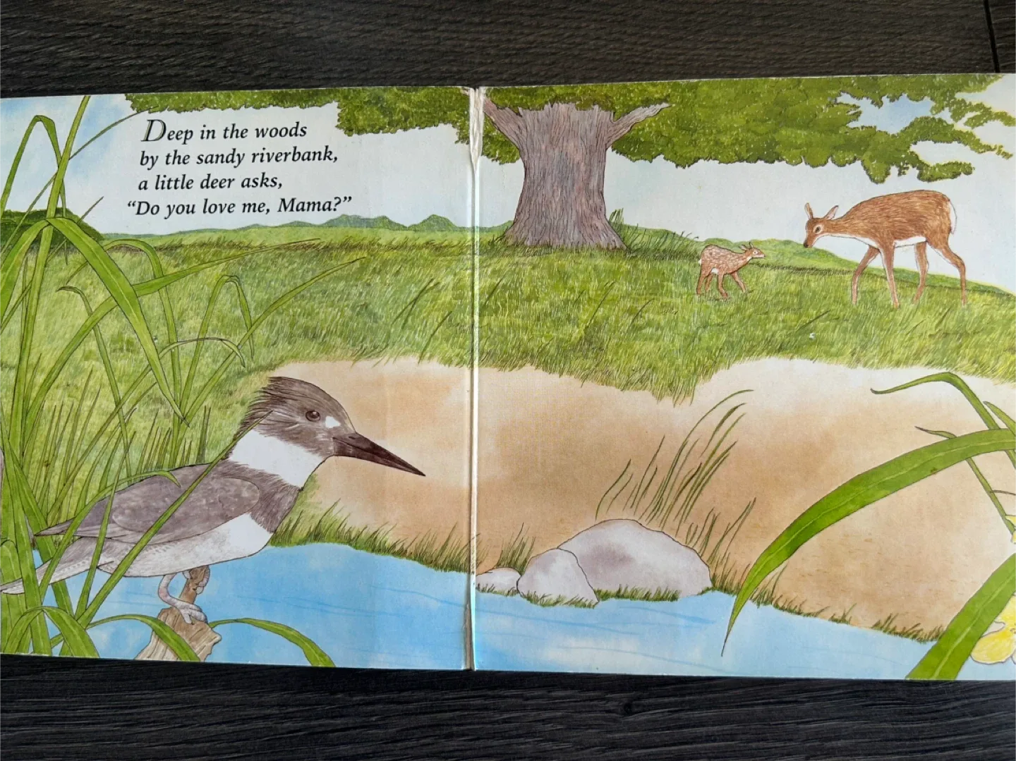 I Love You, Little One by Nancy Tafuri image indicator(2)