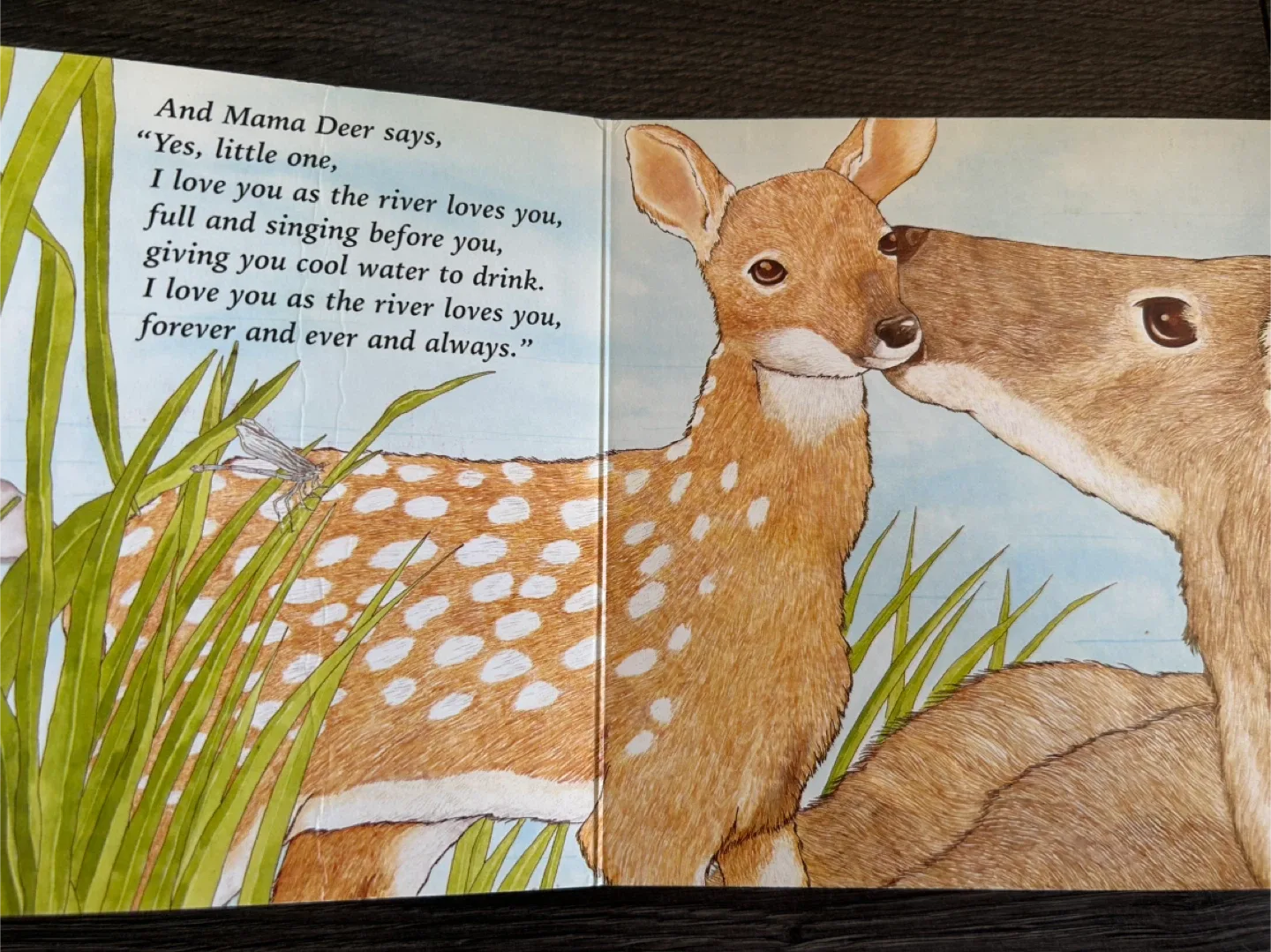 I Love You, Little One by Nancy Tafuri image indicator(3)