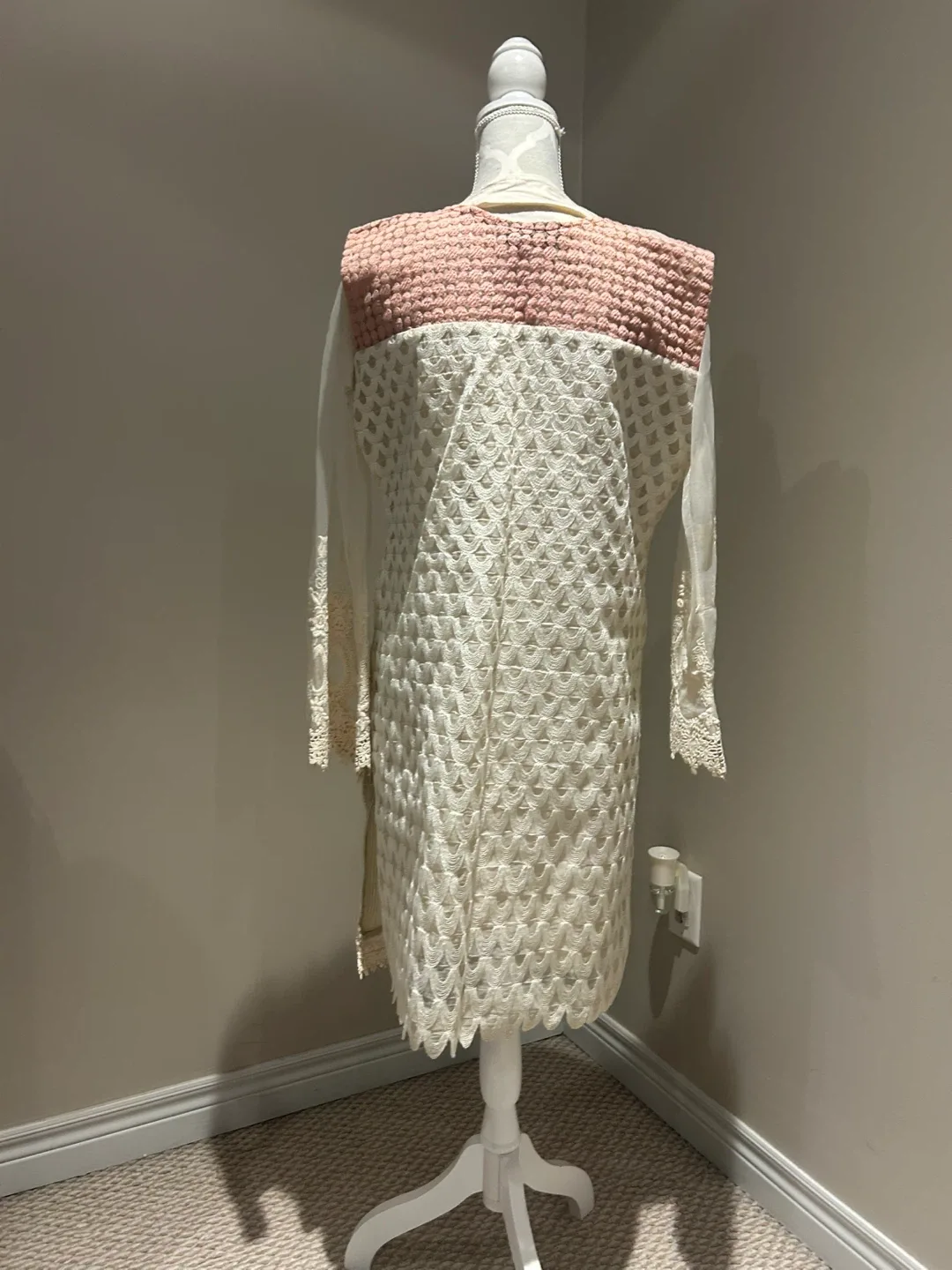 Cream Embroidered Pakistani Suit image indicator(2)