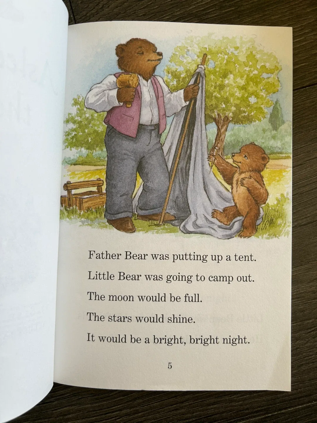 Little Bear: Asleep Under the Stars Book image indicator(3)