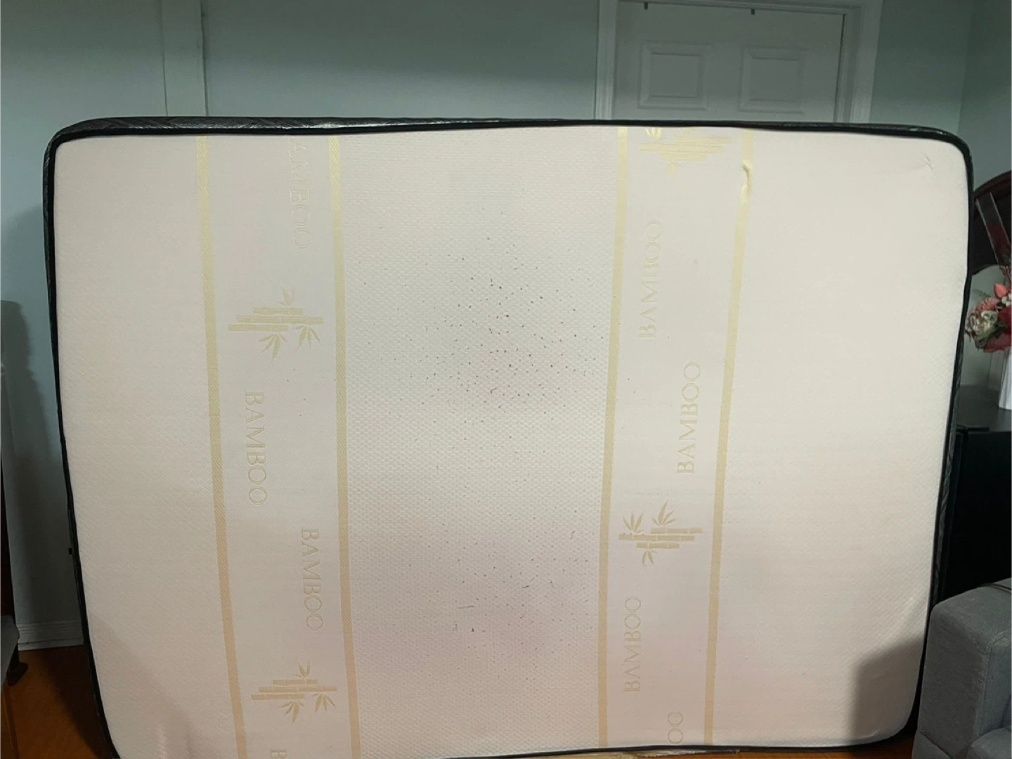 Bamboo Mattress