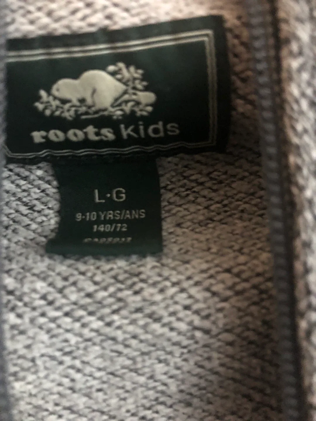 Roots Kids Grey Full Zip Hoodie - Size L (9-10 Yrs) image indicator(4)