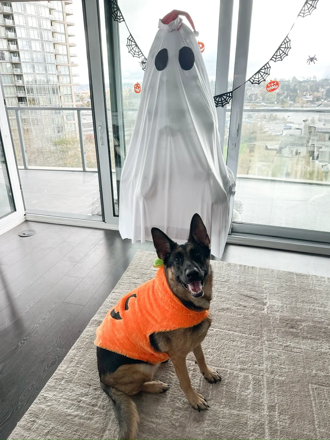 Pumpkin costume for dog image indicator(3)