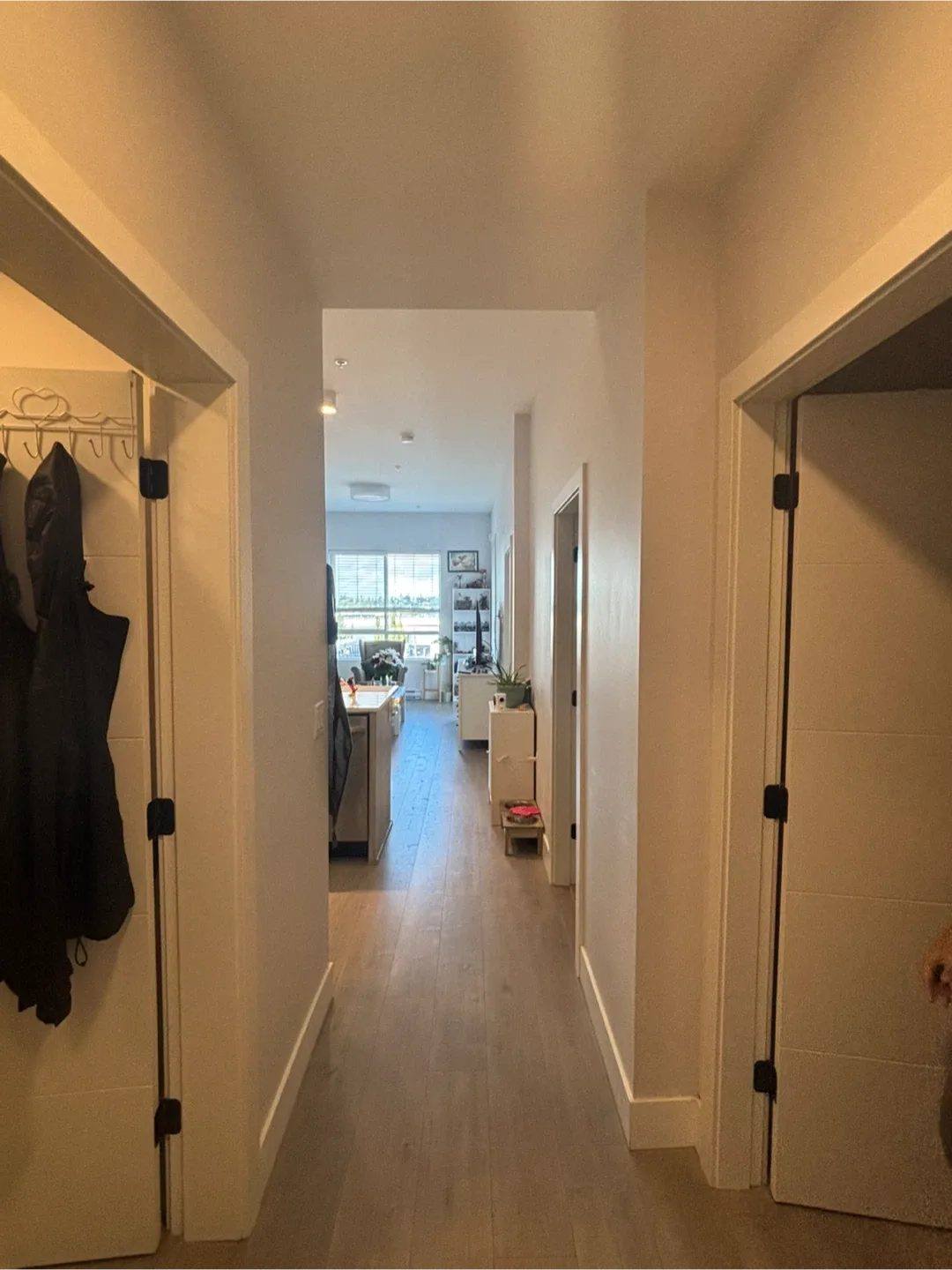 Condo for rent thumbnail
