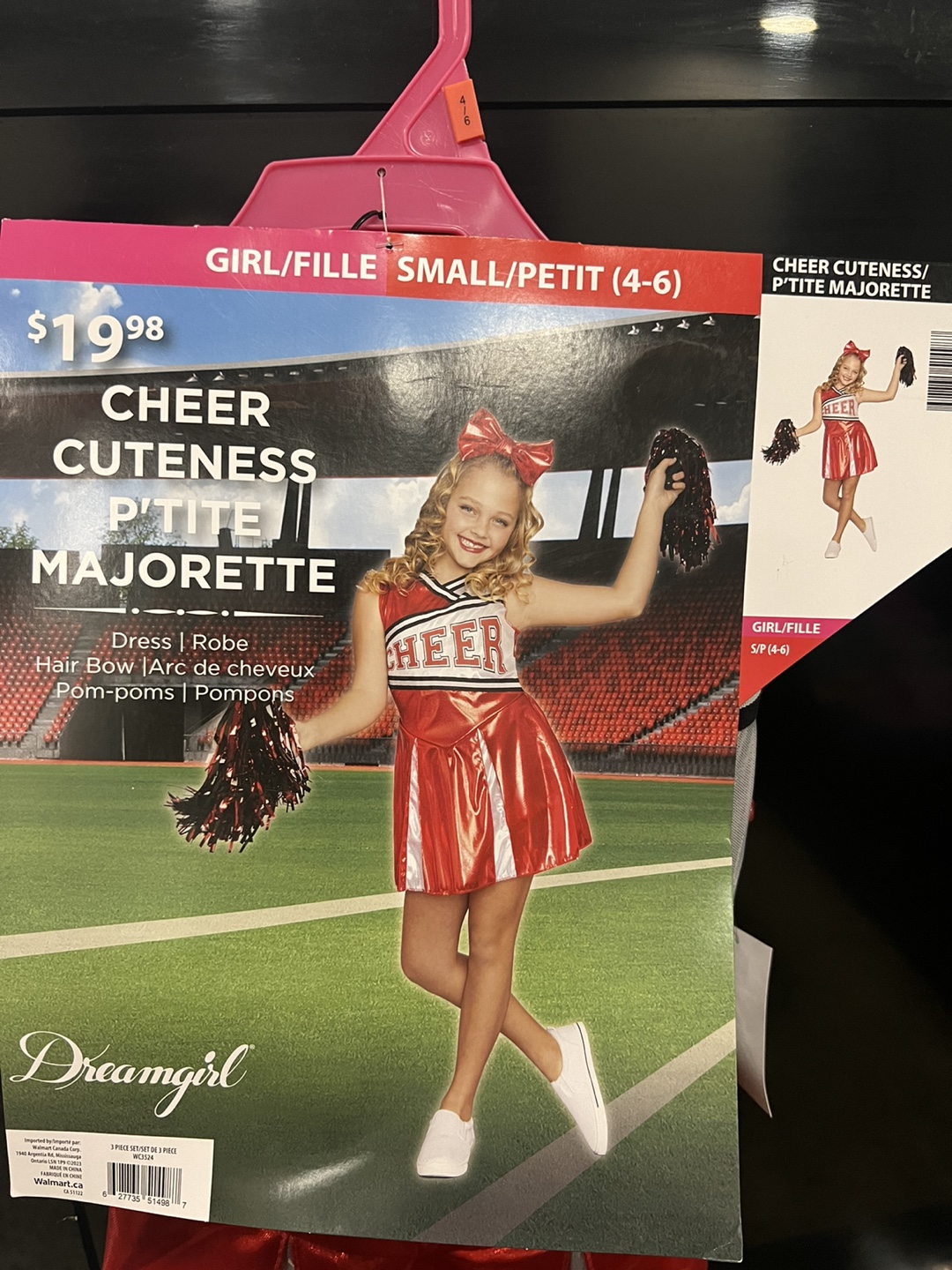 Dreamgirl Cheer Cuteness Costume - Size Small (4-6)