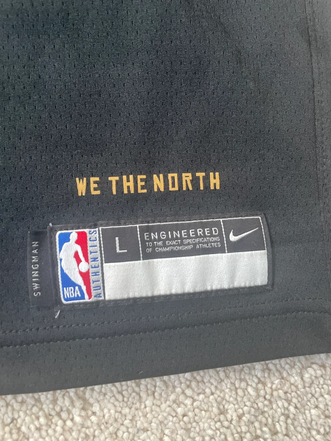 Black and gold raptors jersey kyle lowry image indicator(2)