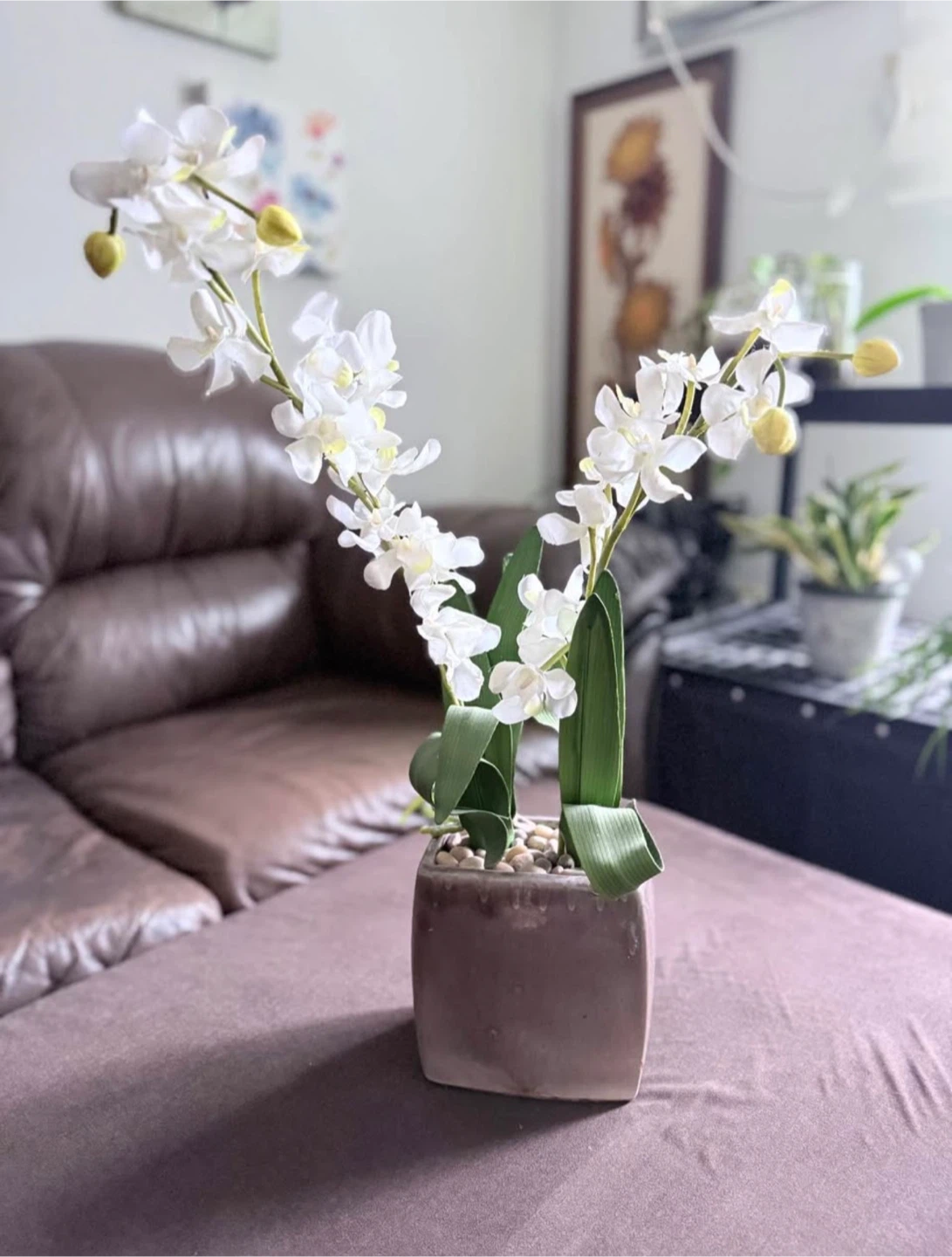 Artificial Orchid in Pot