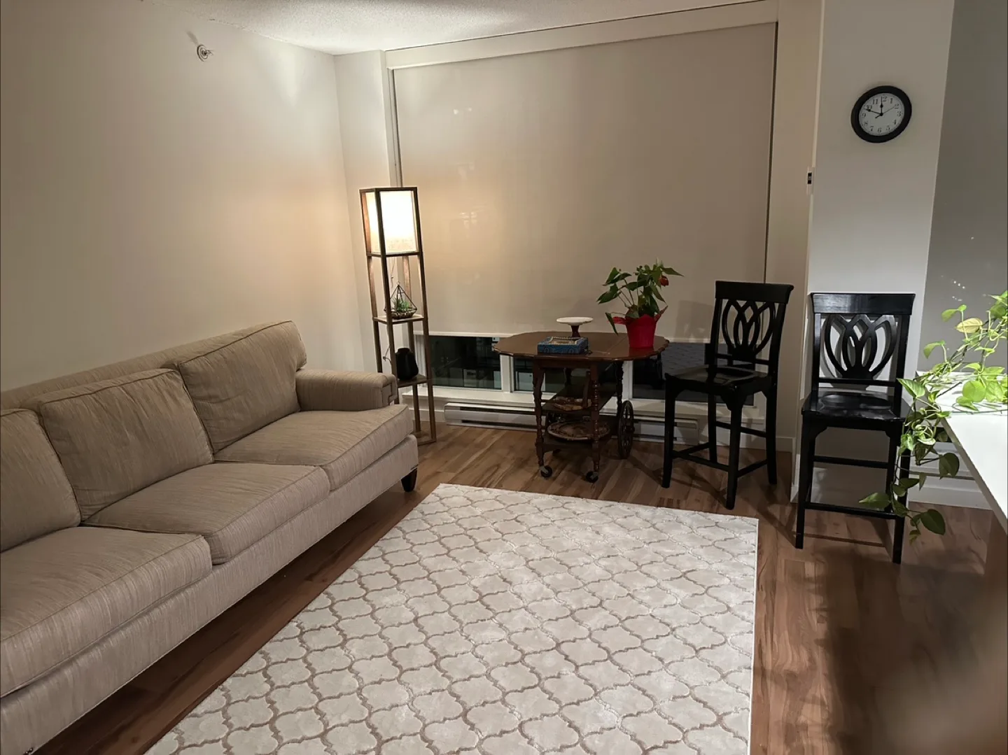 Rug image indicator(3)