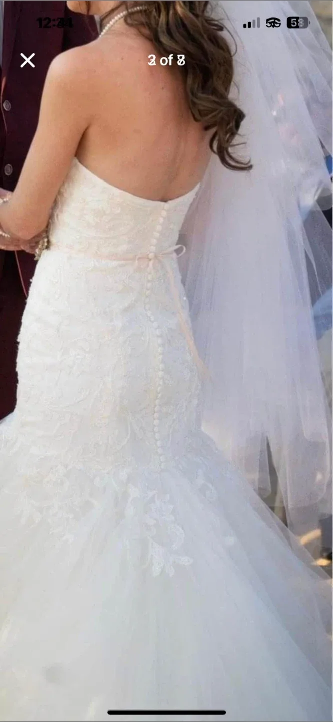 Wedding Dress - ivory image indicator(3)