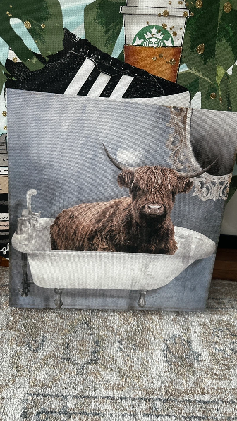 Highland Cow in Bathtub Canvas Print