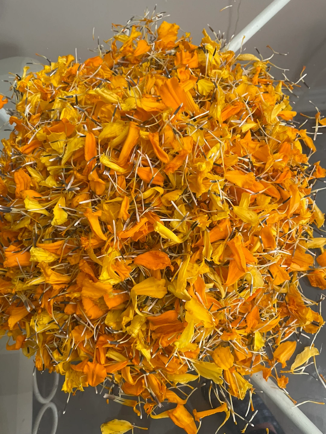🌼 Fresh Marigold Petals – 50g for $1.50 🌼 - photo 2