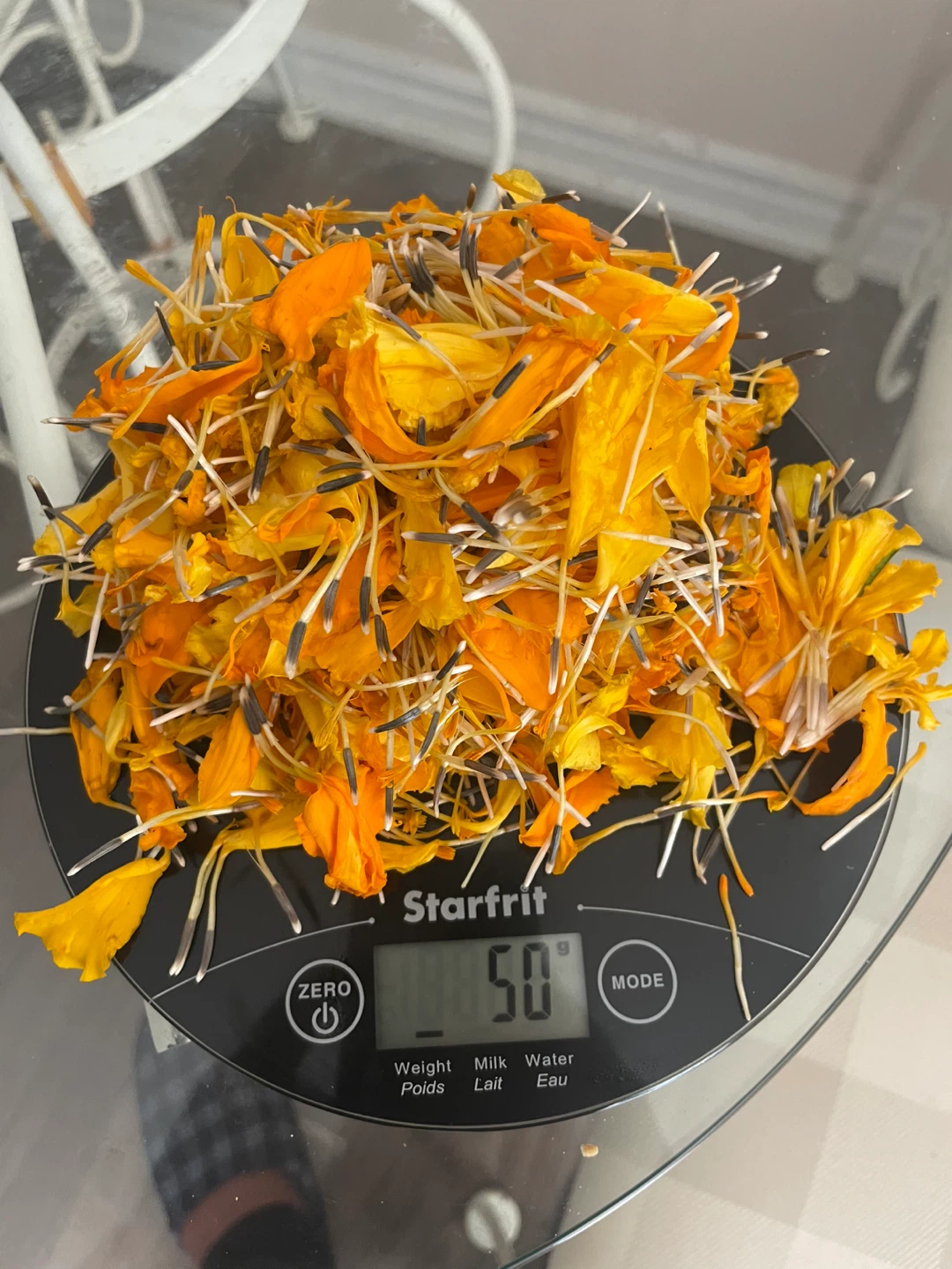 🌼 Fresh Marigold Petals – 50g for $1.50 🌼