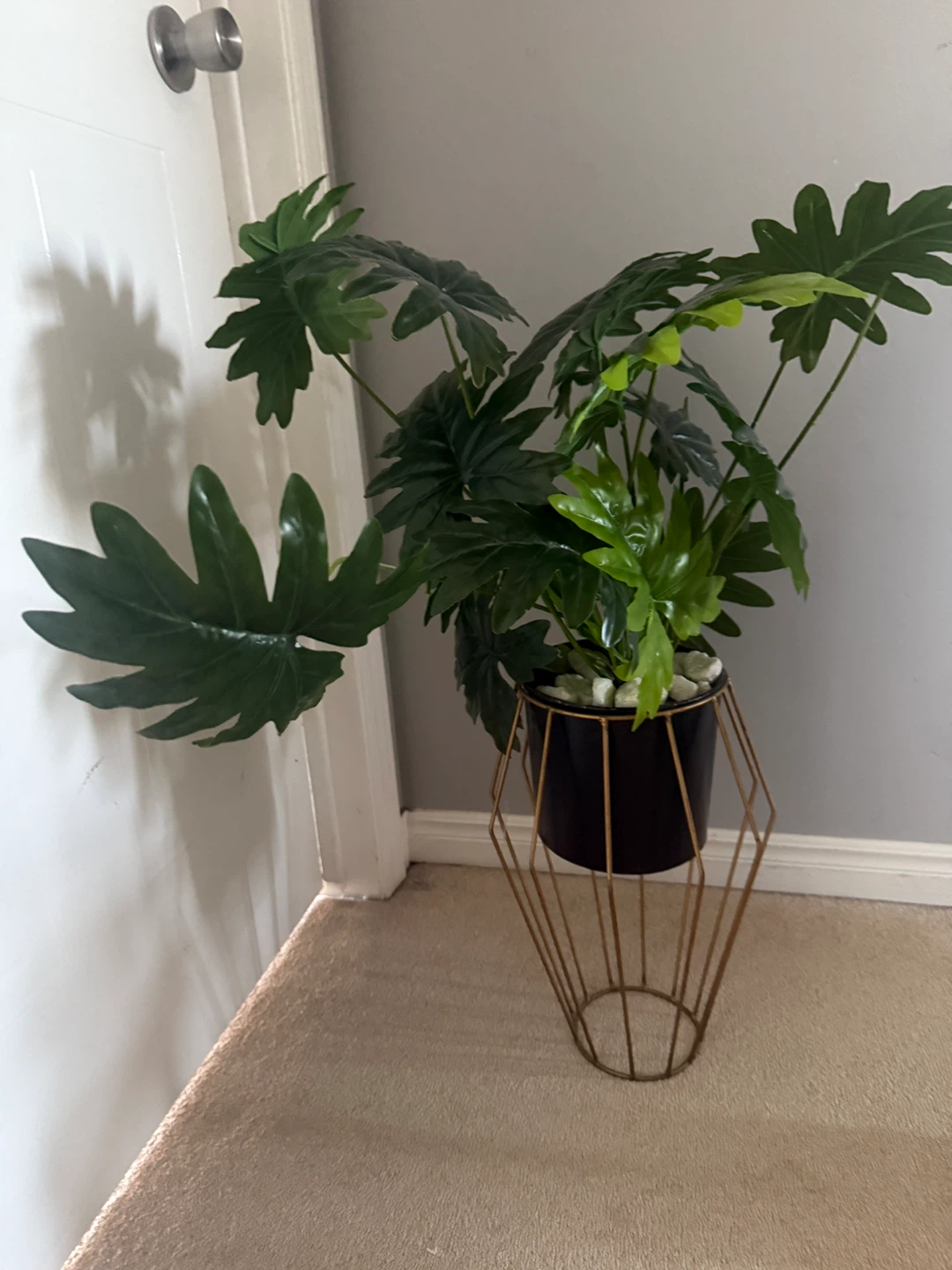 Potted Plant with Gold Stand
