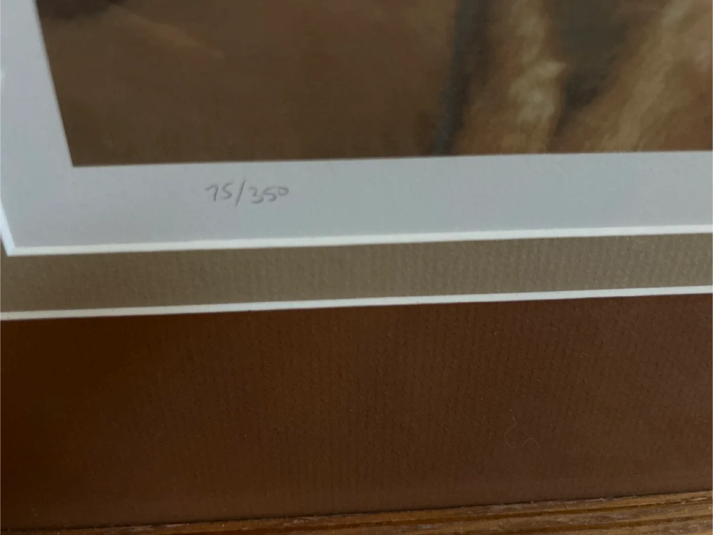 Horse framed picture image indicator(2)