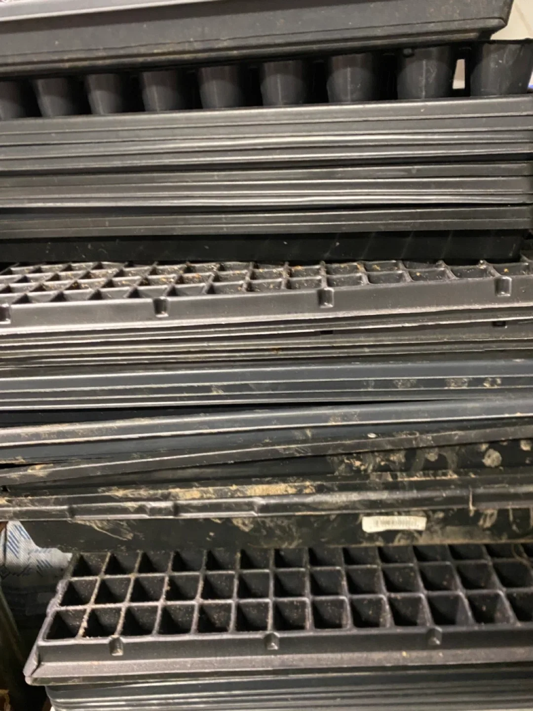 Large Lot of Seedling Starter Trays and Micro green trays image indicator(2)