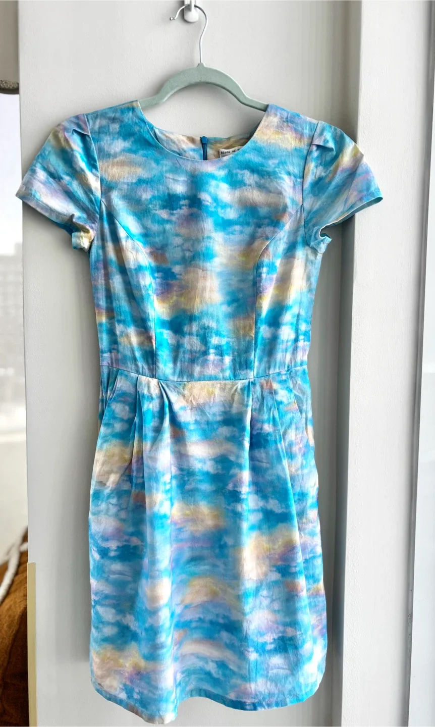 Cloud dress by Birds of North America has pockets thumbnail