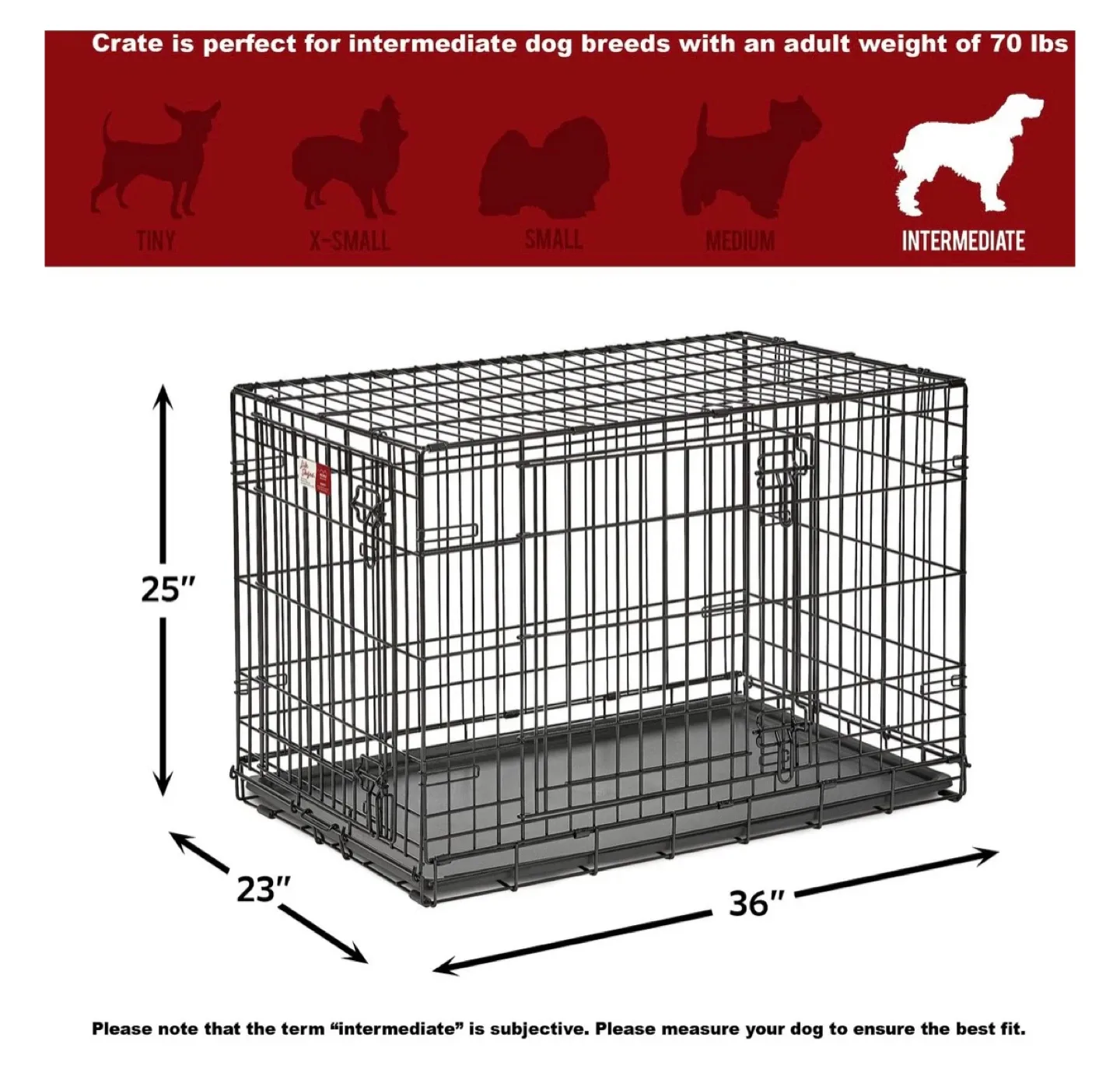 Dog Crate (36x23x25) + Wild One Accessories image indicator(5)