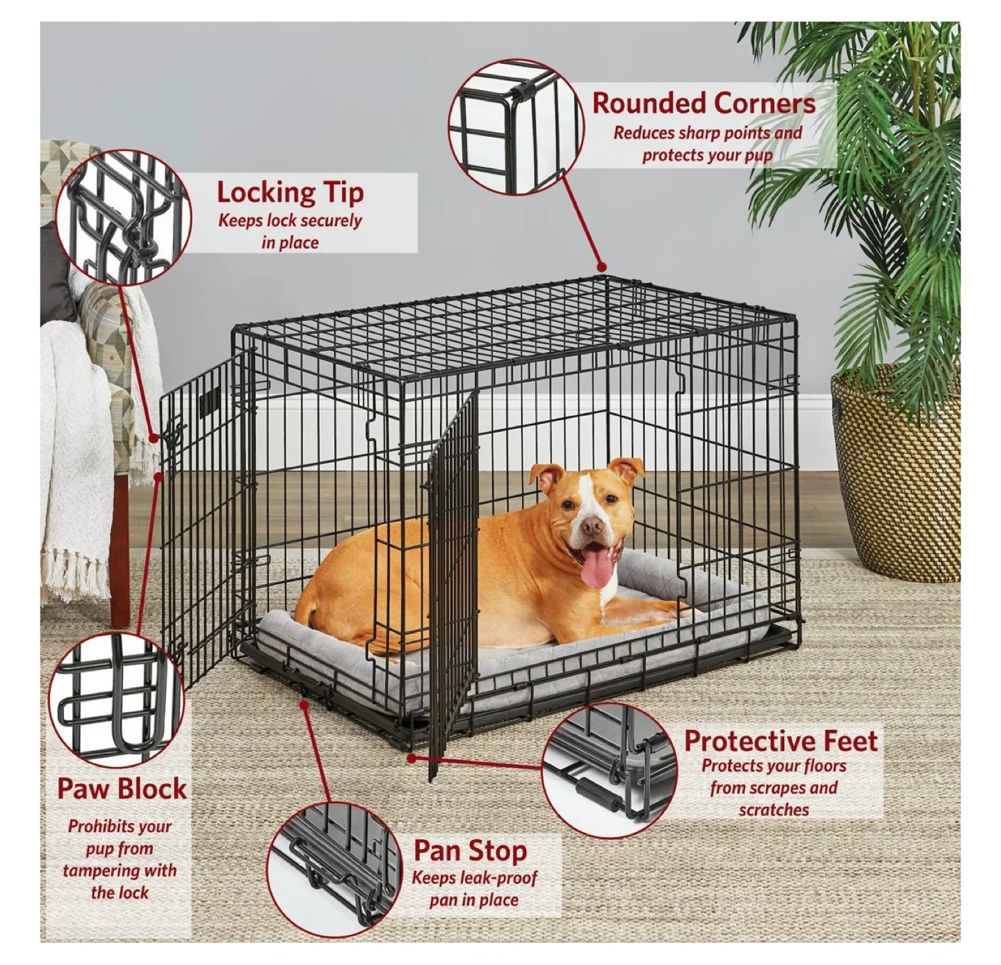 Dog Crate (36x23x25) + Wild One Accessories image indicator(4)