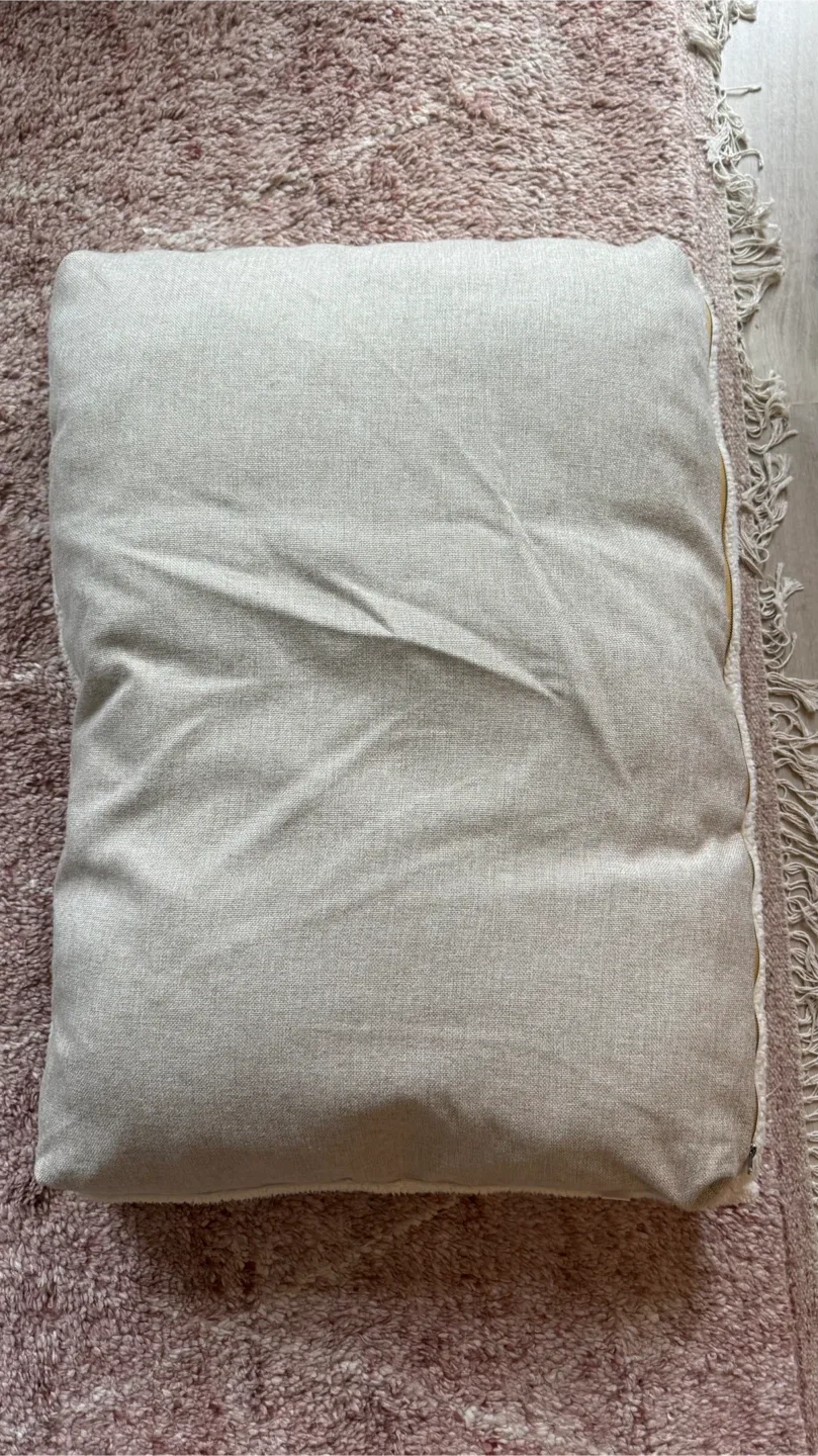 Dog Crate (36x23x25) + Wild One Accessories image indicator(7)