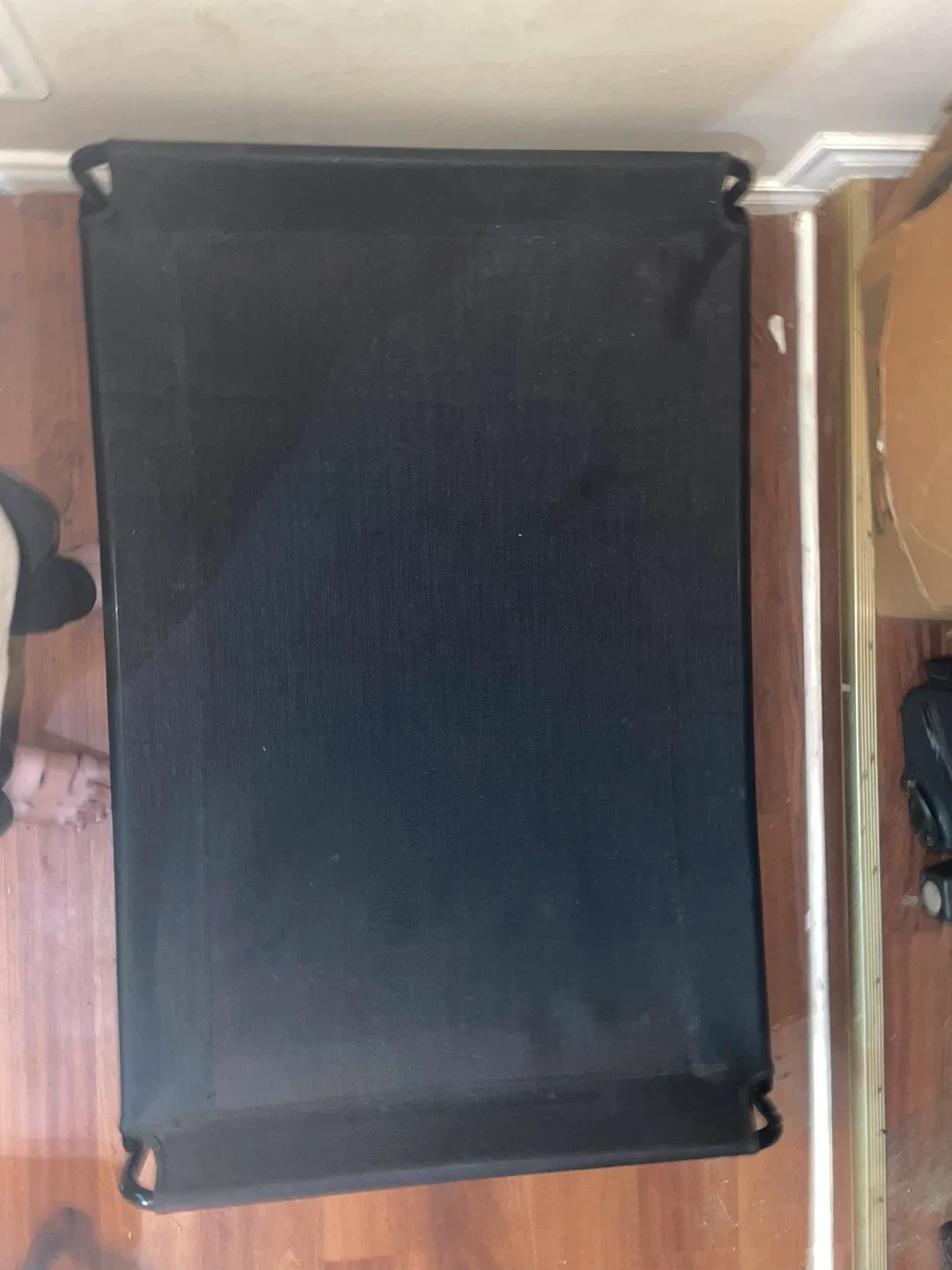 Elevated Pet Cot - Black image indicator(3)