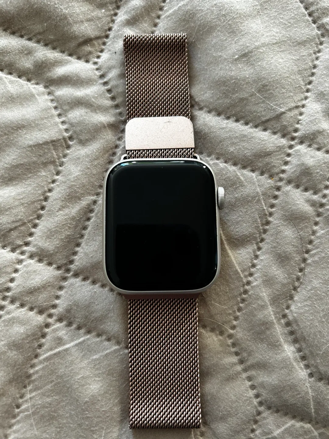 Apple Watch with Milanese Loop image indicator(8)