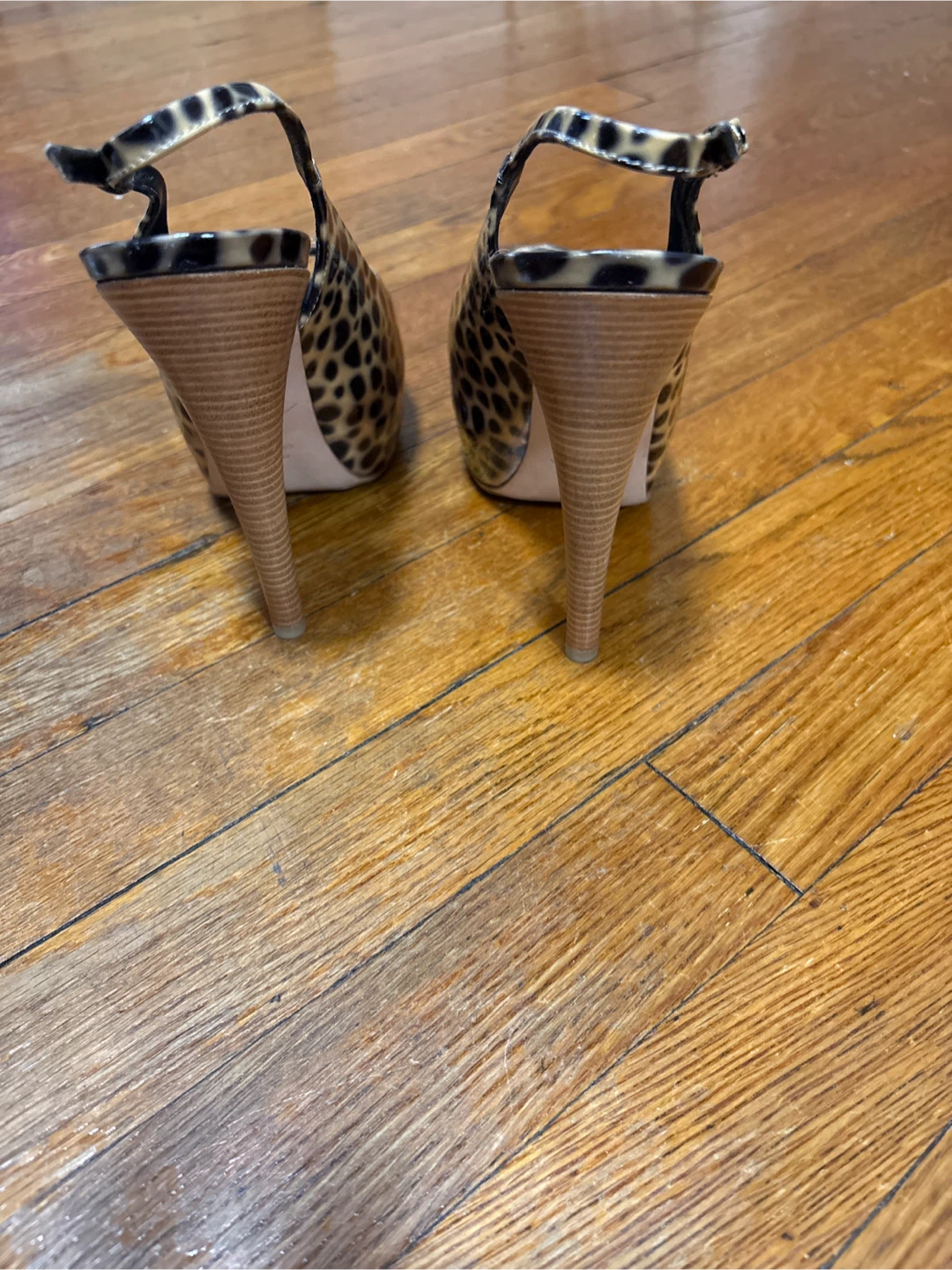 Giuseppe Zanotti Leopard Print Heels - photo 4