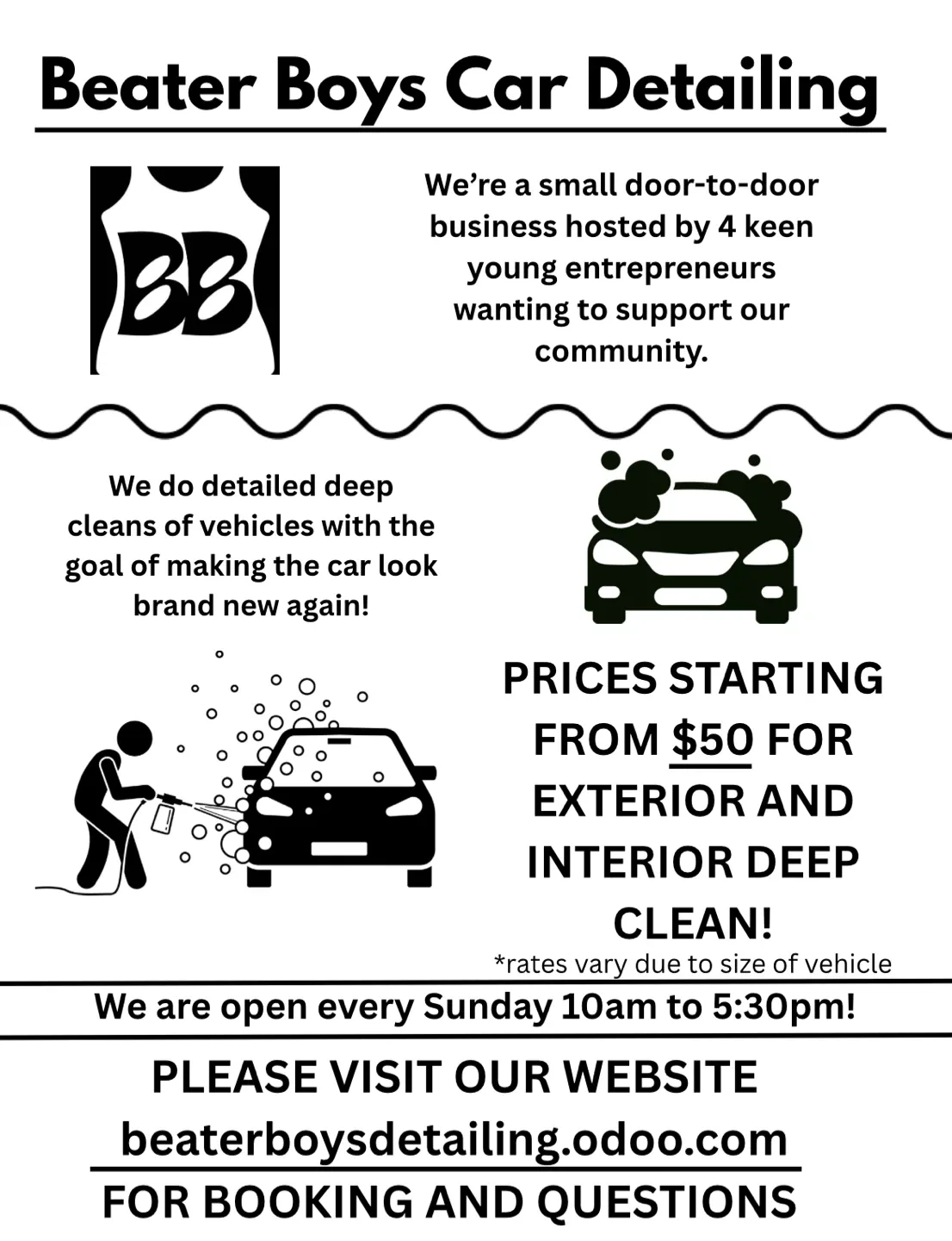 Mobile Car Detailing Starting at $50 South East Van