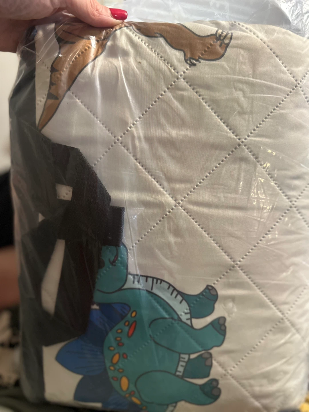Dinosaur Print Picnic Blanket - photo 2