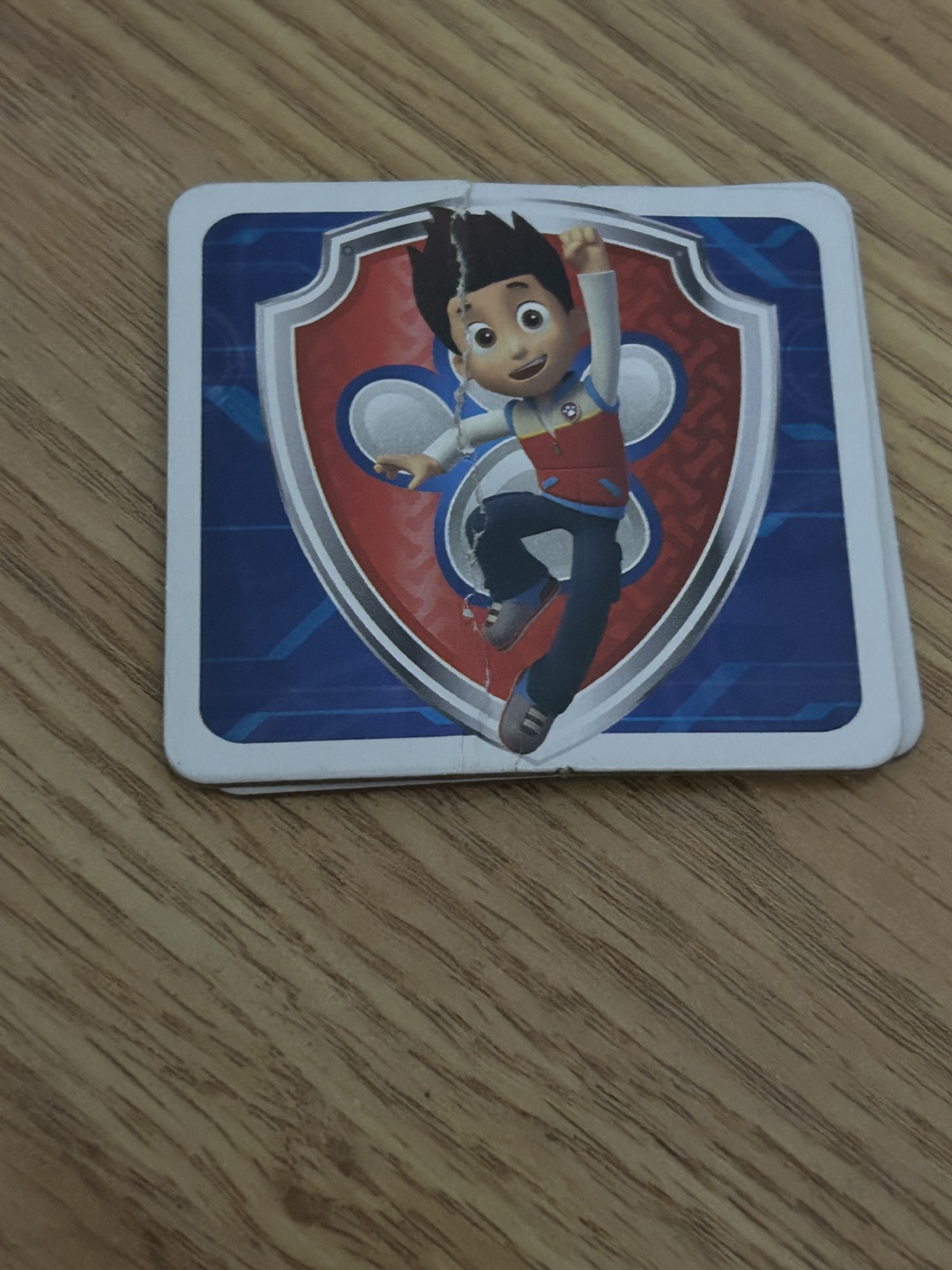 Paw Patrol Memory Match Game - Complete Set - photo 4