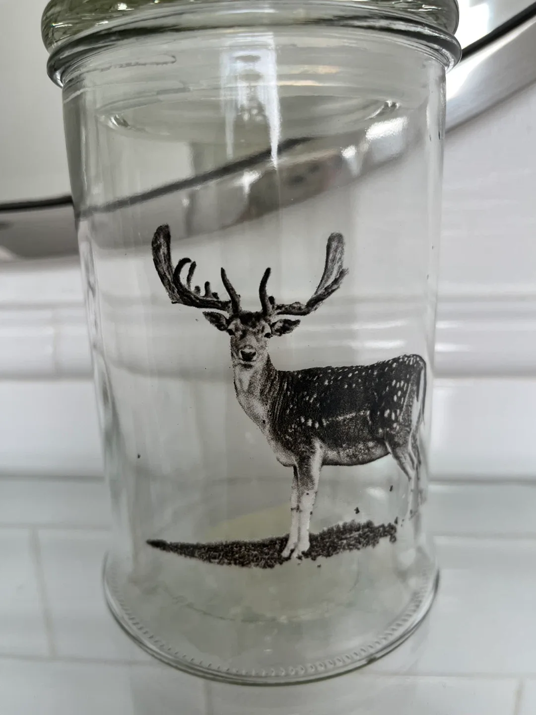 Glass Jar with Deer Design 🧡 image indicator(2)