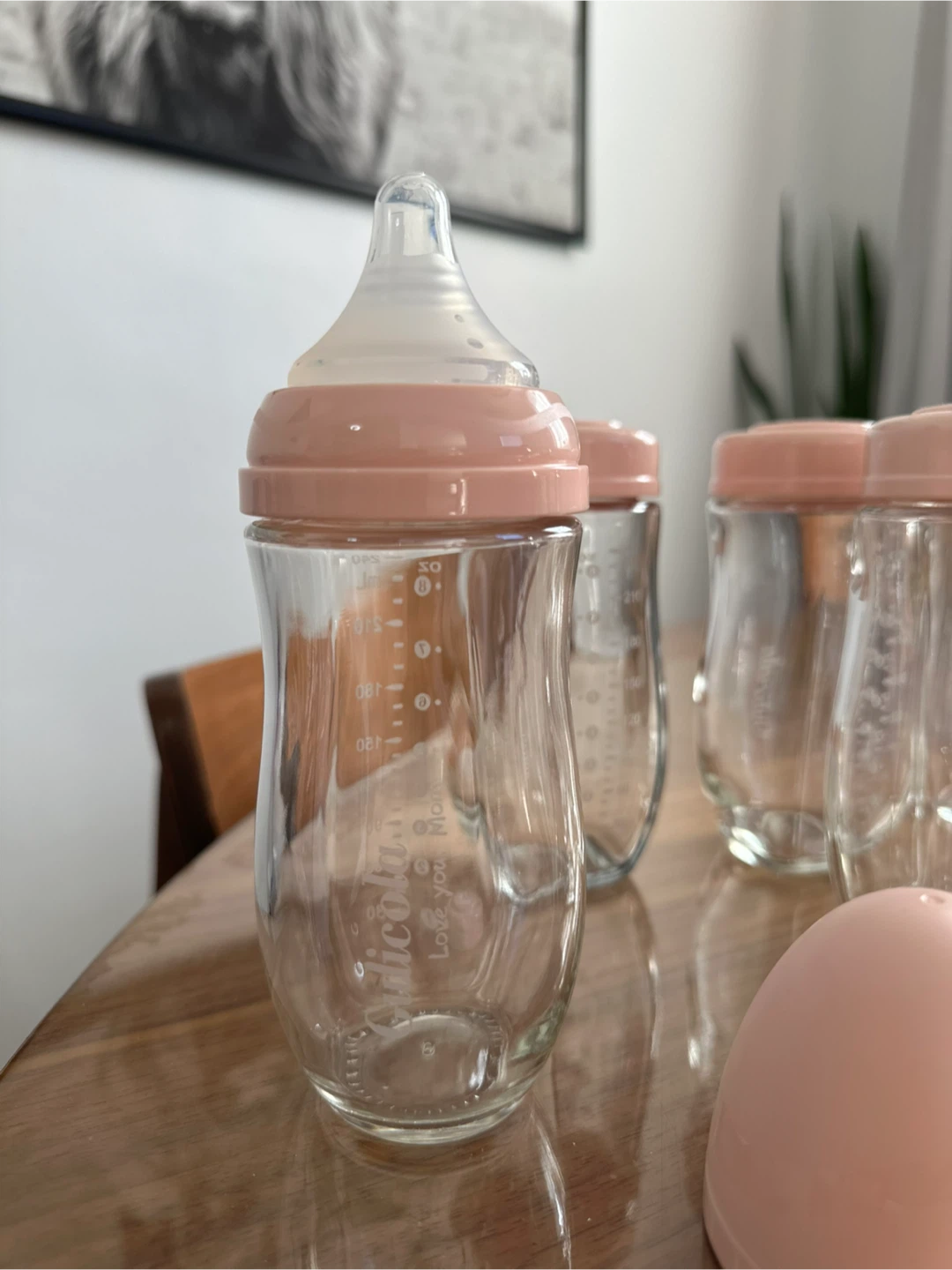 Gulicola 8oz Glass Baby Bottles (Set of 6) - photo 2