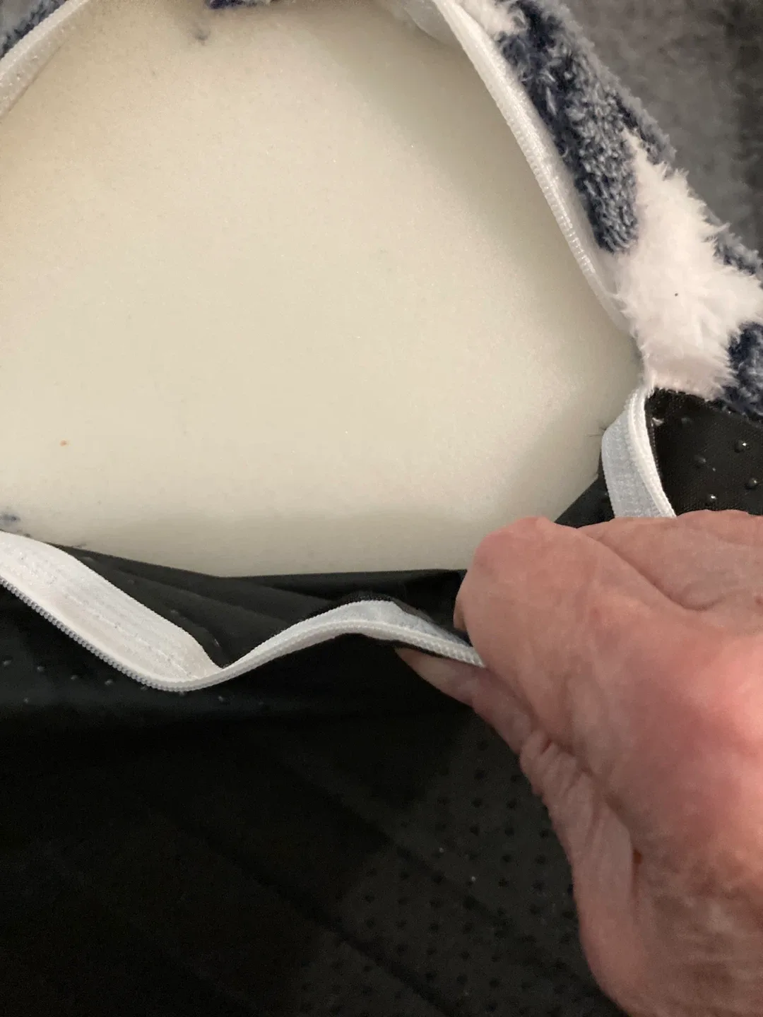 🥕Pet stairs image indicator(3)